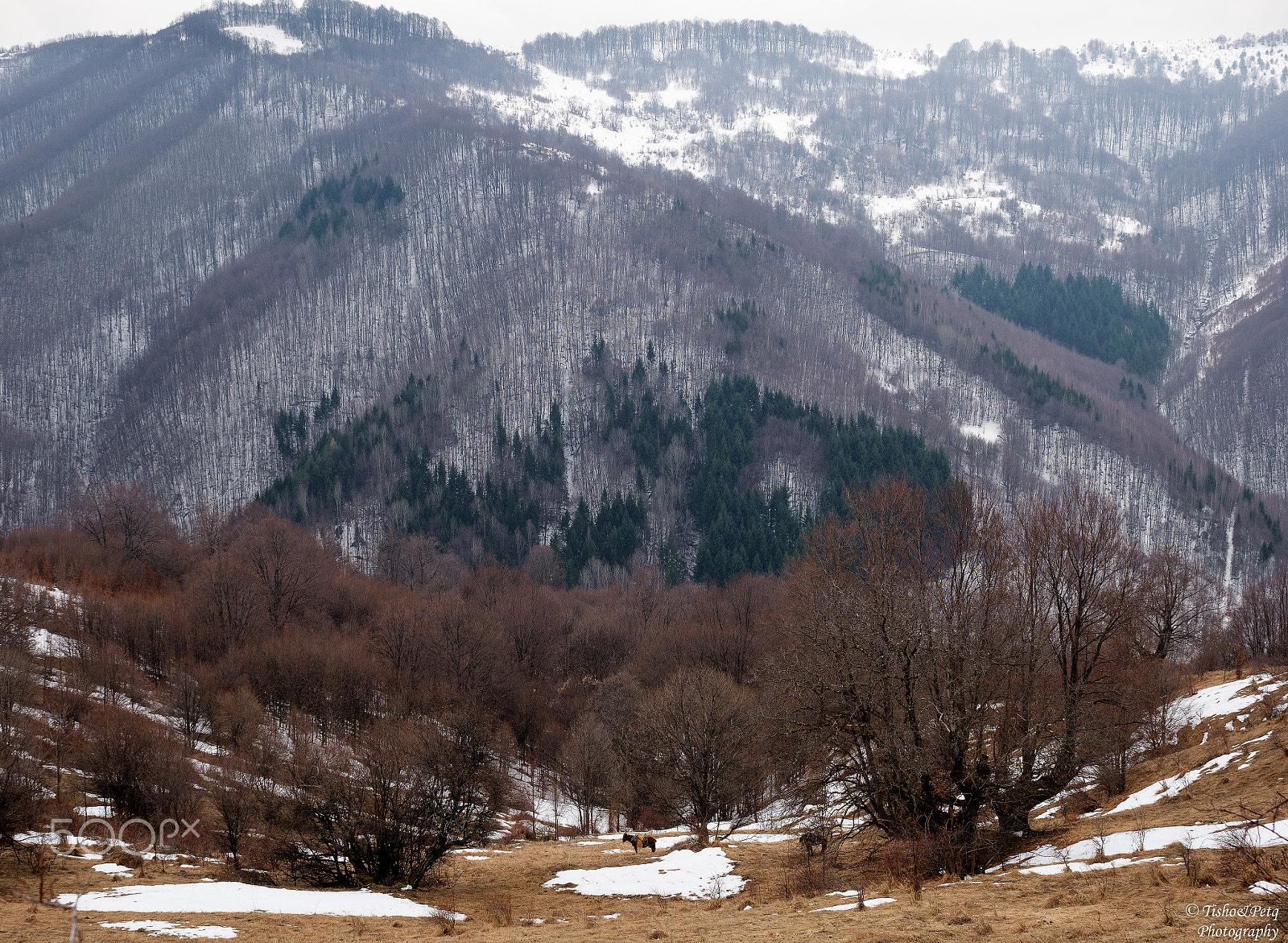 Panasonic Lumix DMC-G85 (Lumix DMC-G80) sample photo. Central balkan 7 photography