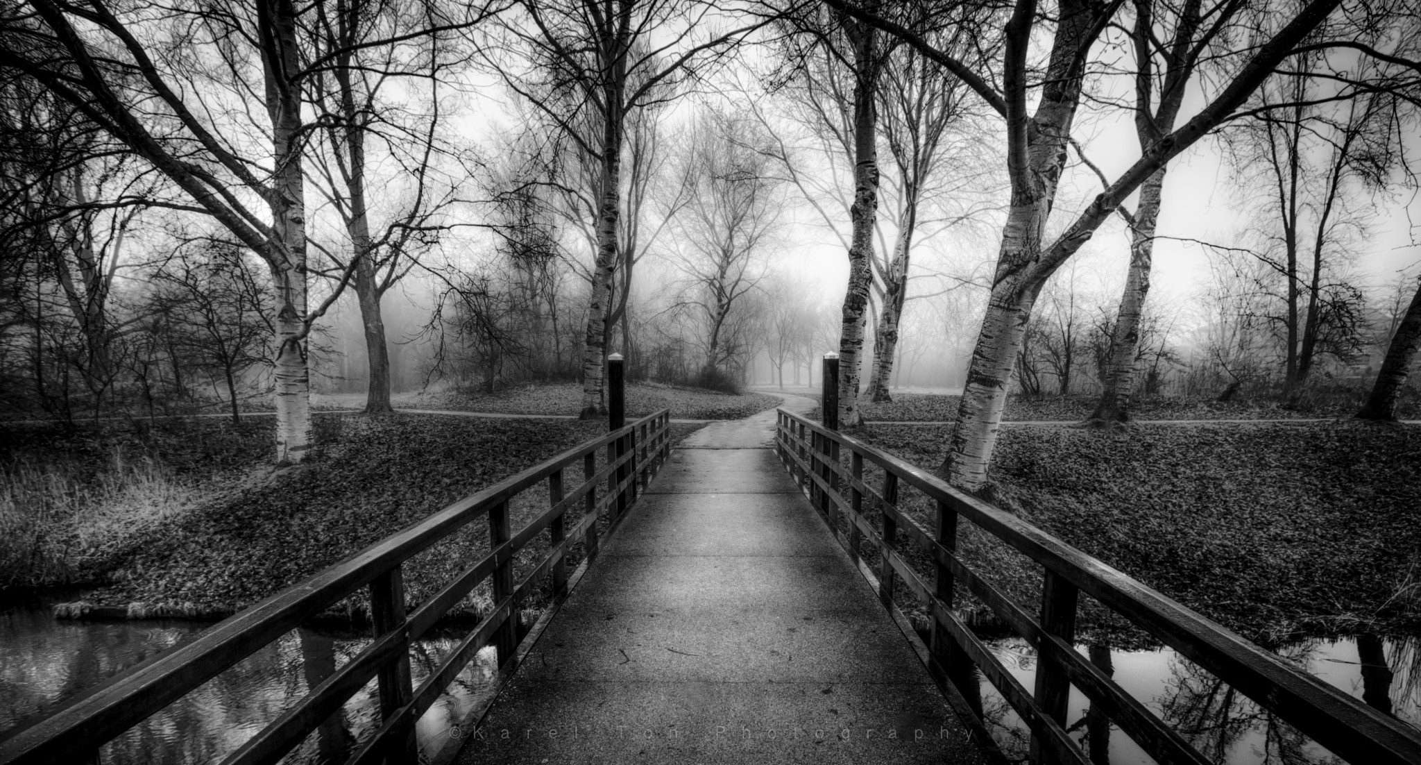 Canon EOS 760D (EOS Rebel T6s / EOS 8000D) sample photo. "misty park" photography