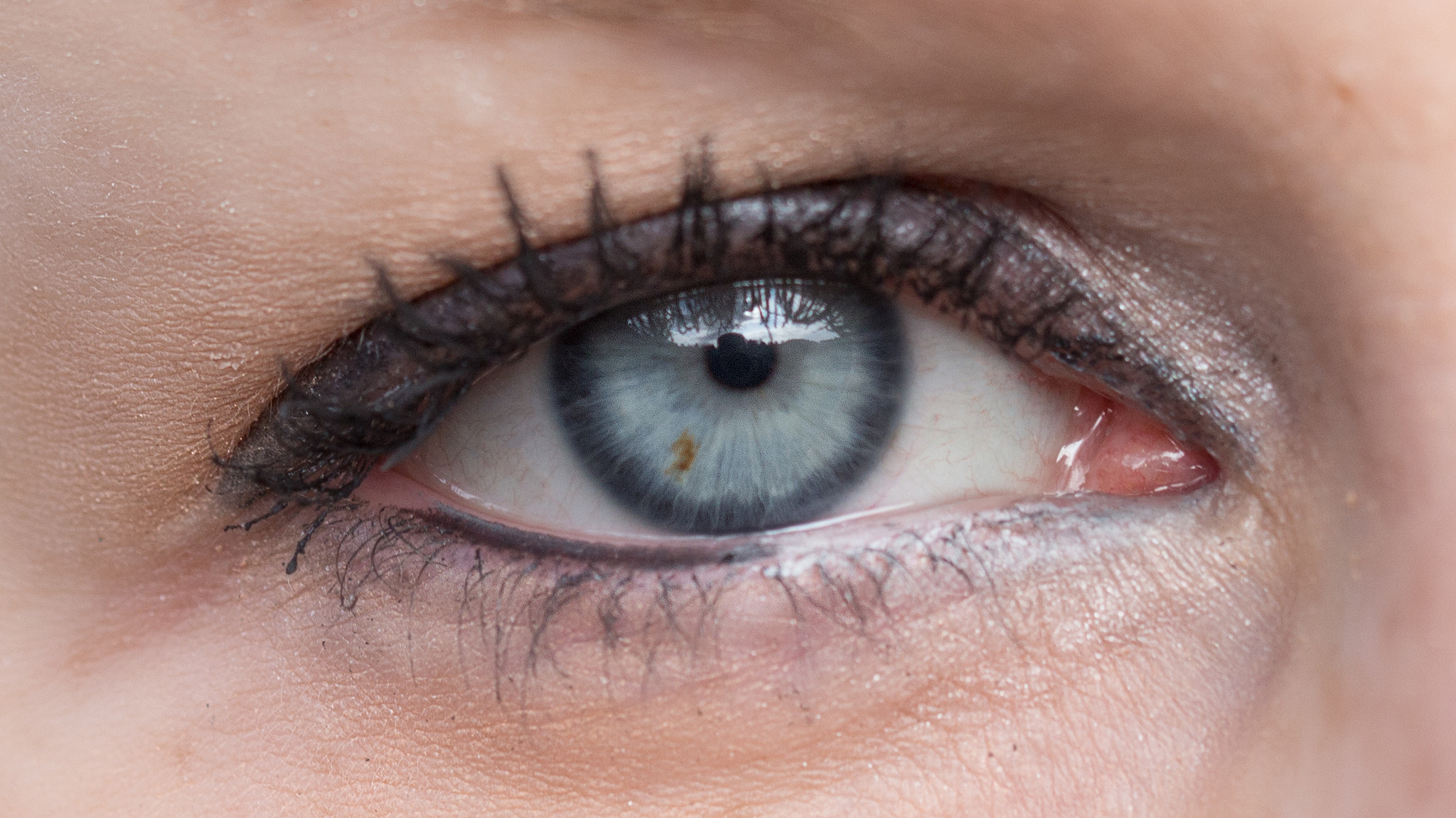 Canon EF 100mm F2.8L Macro IS USM sample photo. Augenmakro katrin photography