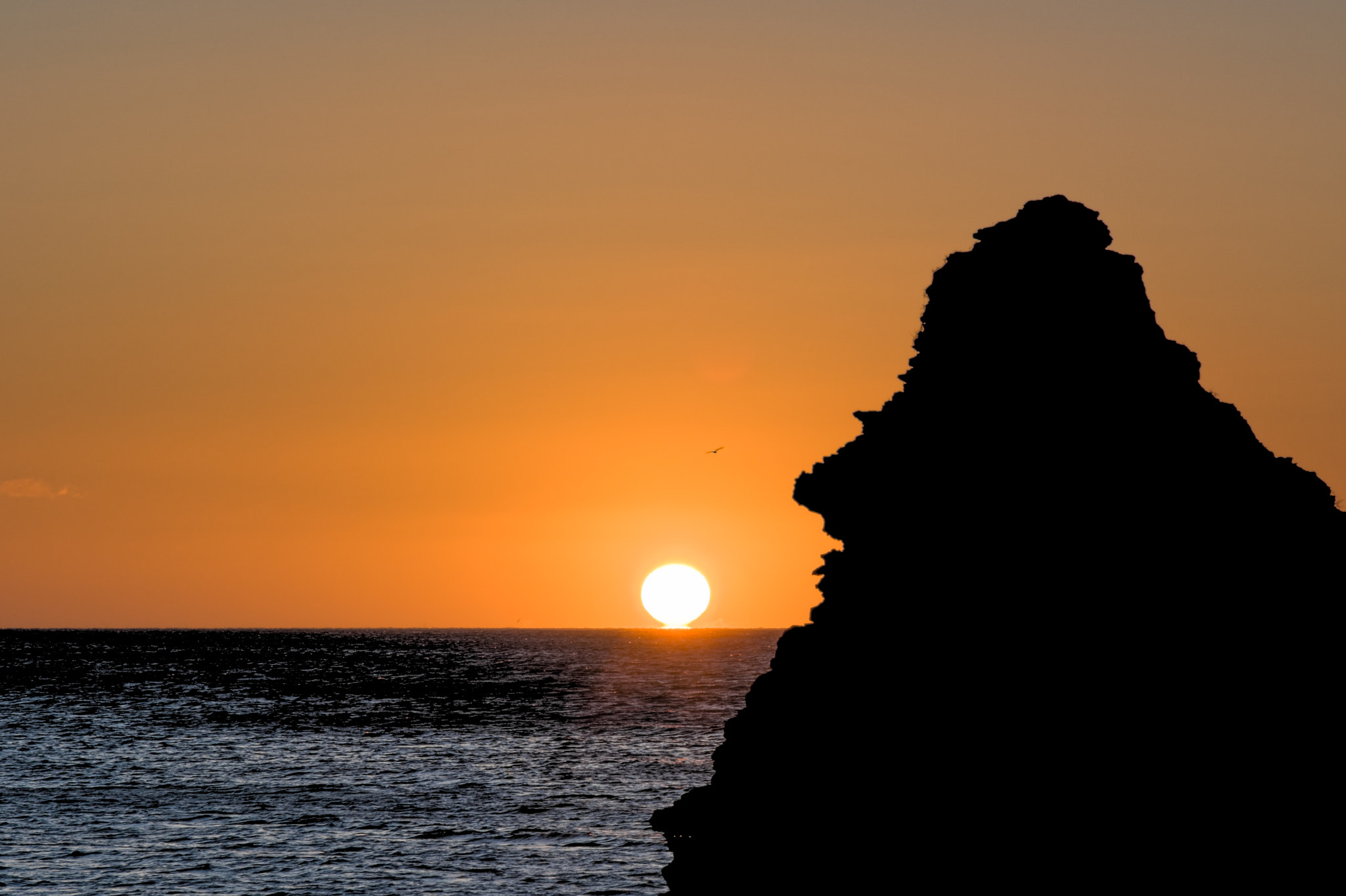 Nikon AF-S Nikkor 24-120mm F4G ED VR sample photo. Happy morning photography