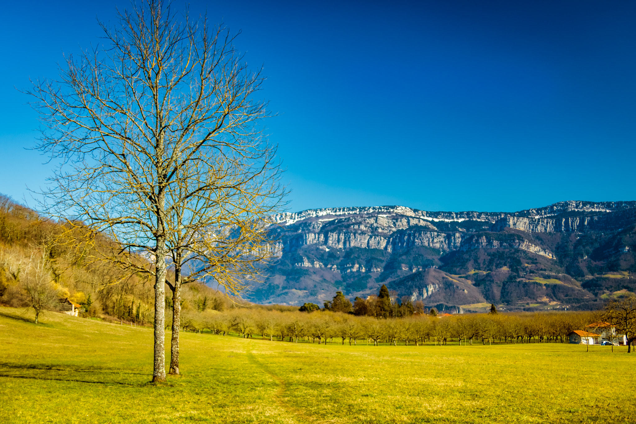 Canon EF 24-85mm F3.5-4.5 USM sample photo. Vinay (isère - france) photography