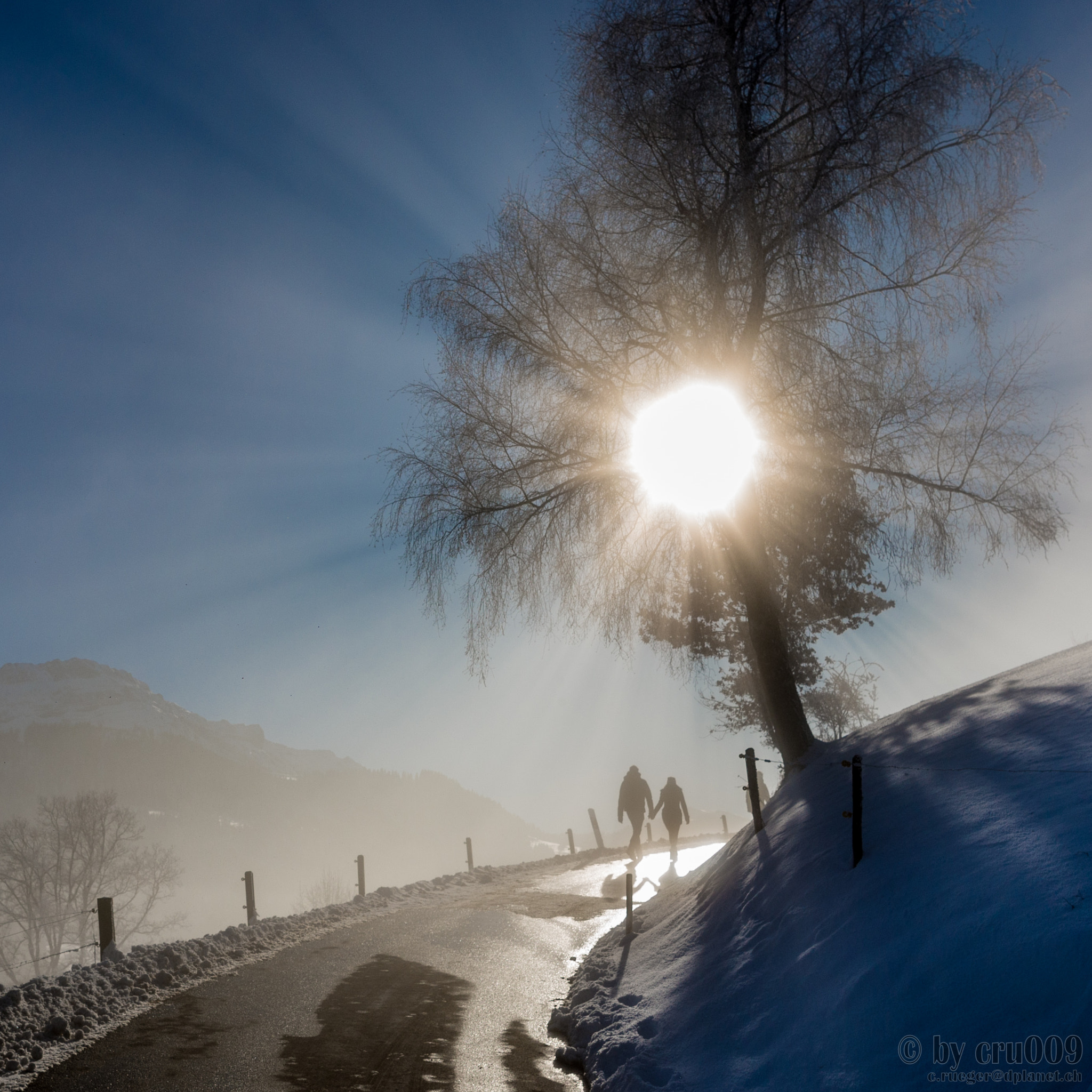 Nikon AF-S Nikkor 24-70mm F2.8E ED VR sample photo. Never walk alone photography
