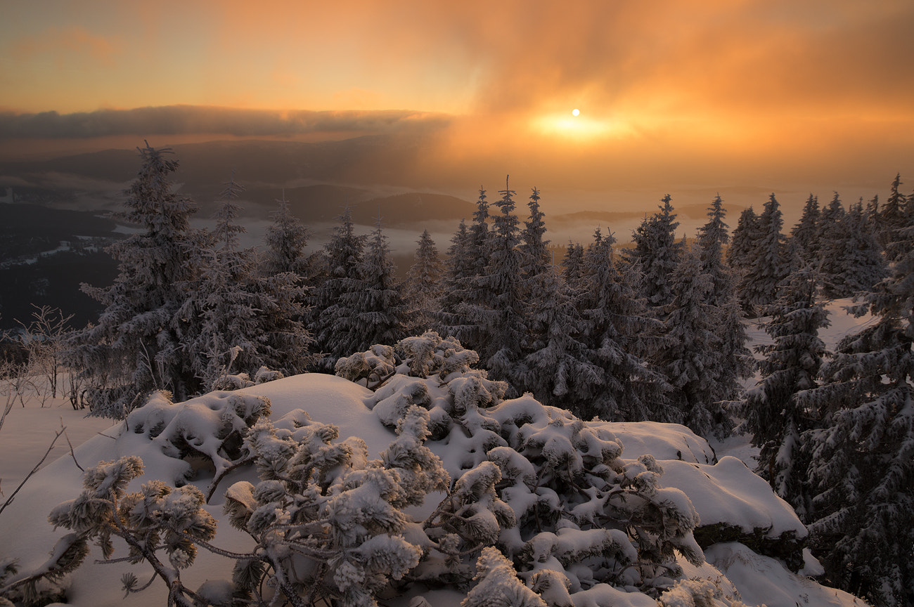 Sony SLT-A57 sample photo. Winter dream photography
