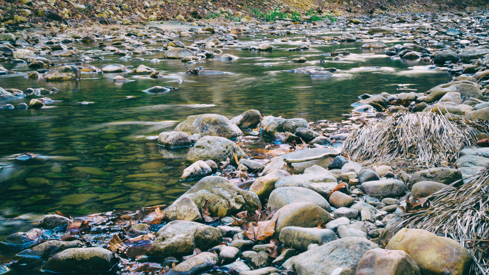 Olympus OM-D E-M10 + Olympus M.Zuiko Digital 25mm F1.8 sample photo. Whispering creek in the morning photography