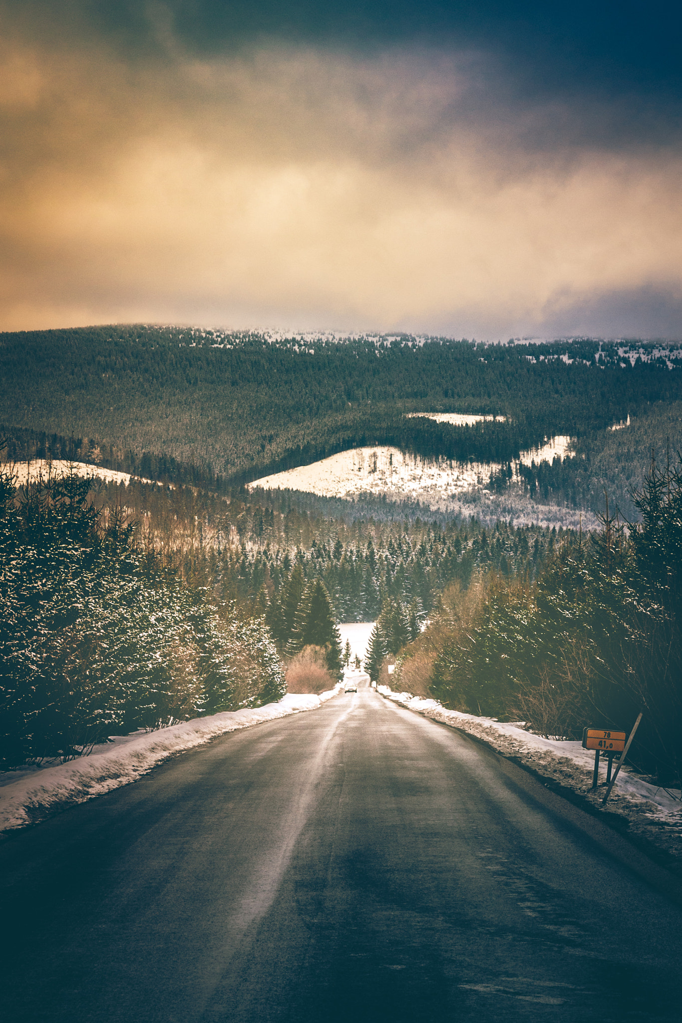 Sony DT 16-105mm F3.5-5.6 sample photo. Wild road photography