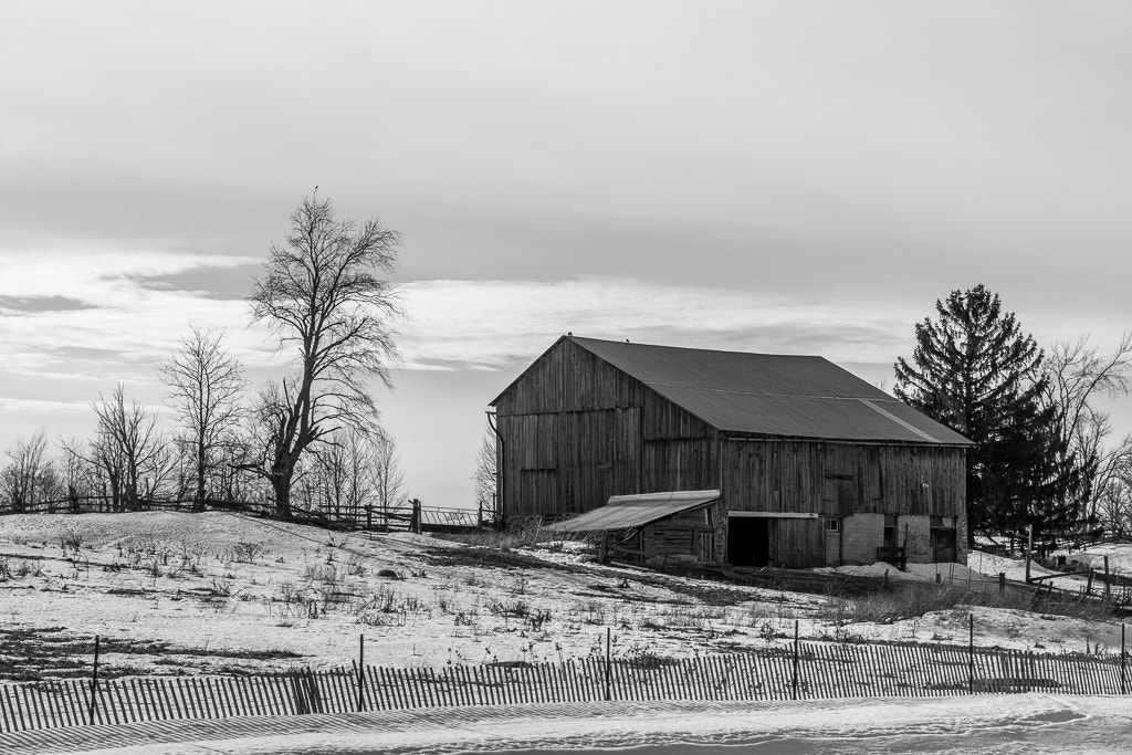 Pentax K-1 + Sigma 70-200mm F2.8 EX DG Macro HSM II sample photo. Old barn in rural ontario canada photography