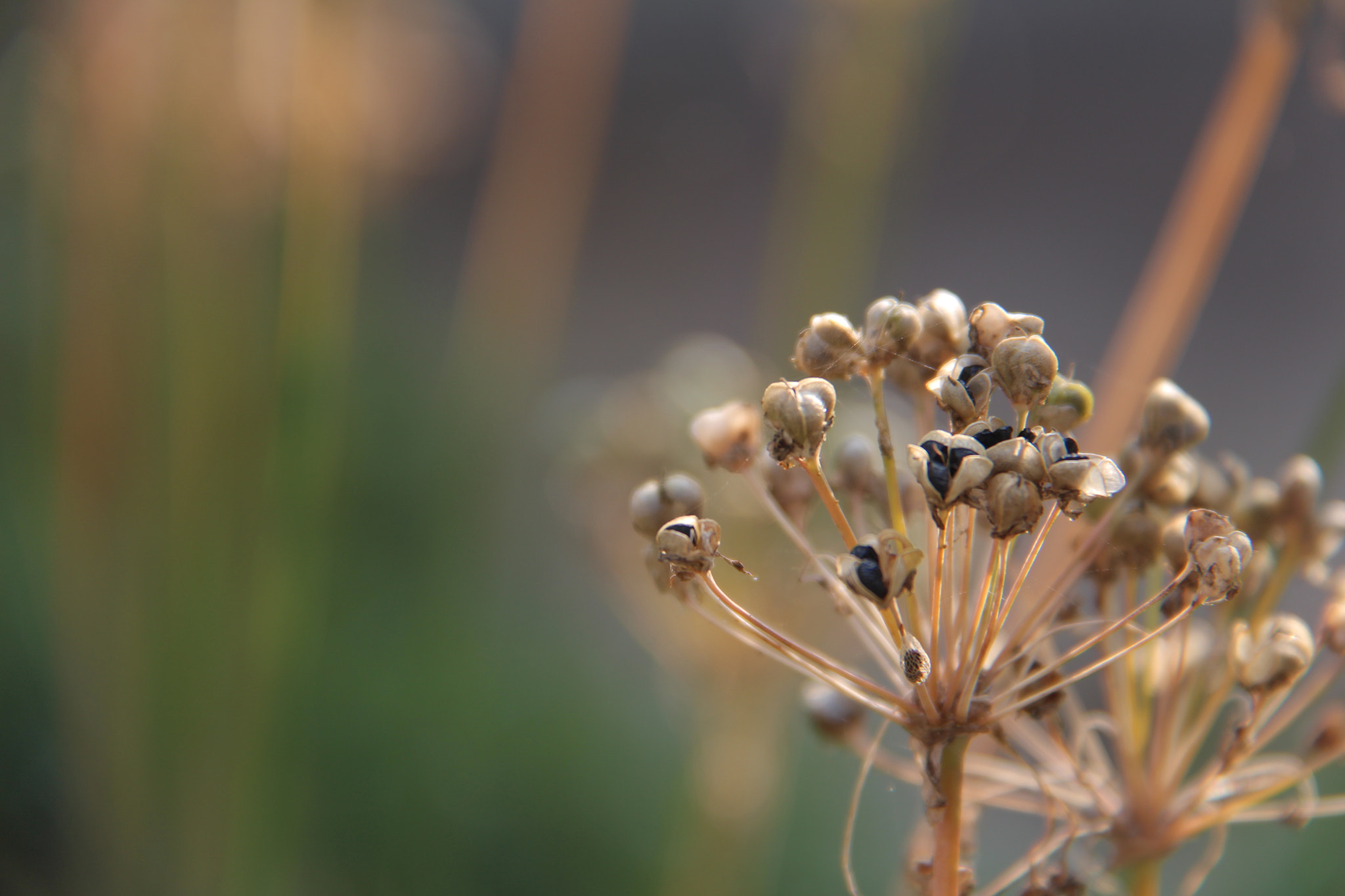 Canon EF-S 18-200mm F3.5-5.6 IS sample photo. 아름다운``````또다른시작^^ photography