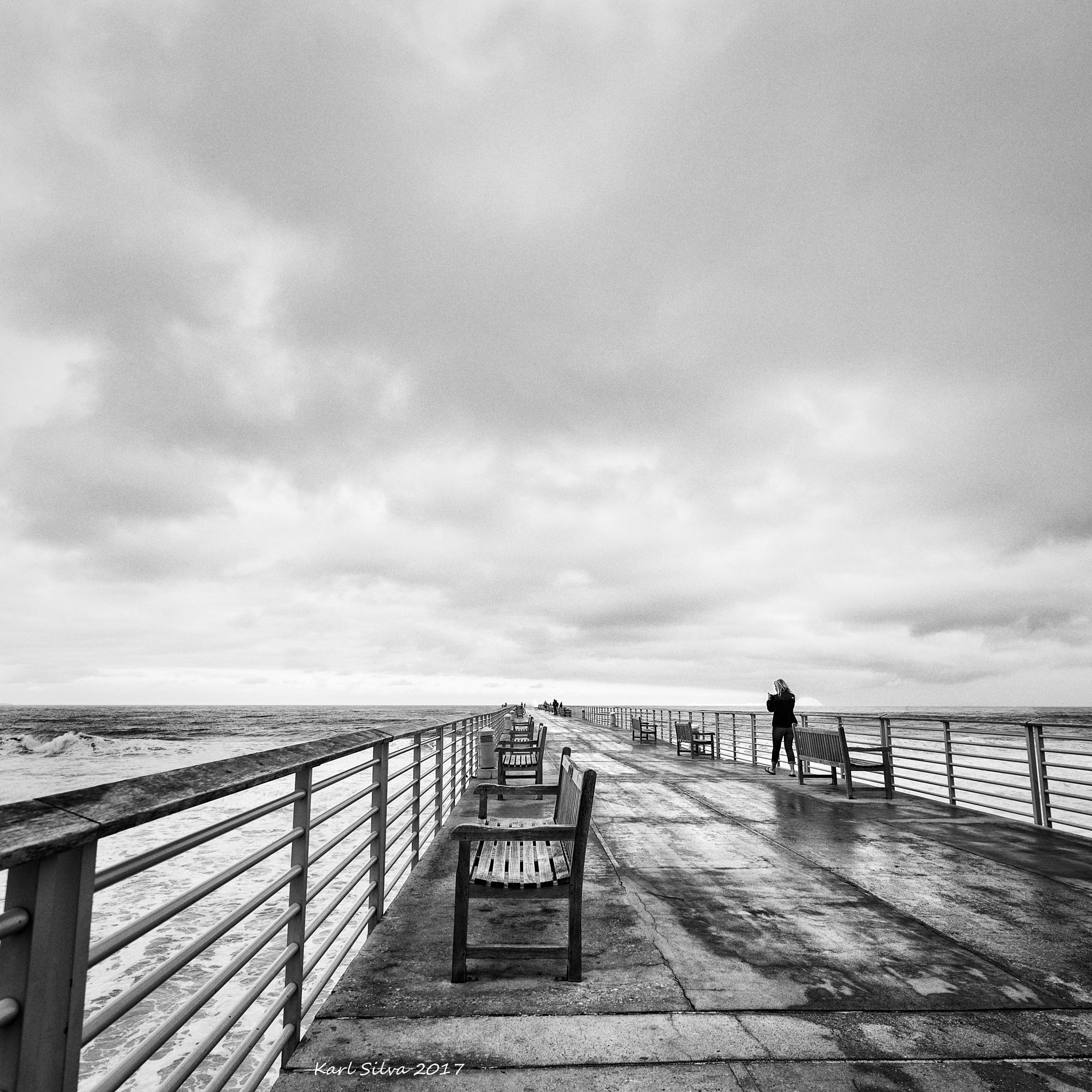 Nikon D610 sample photo. Hermosa beach pier photography