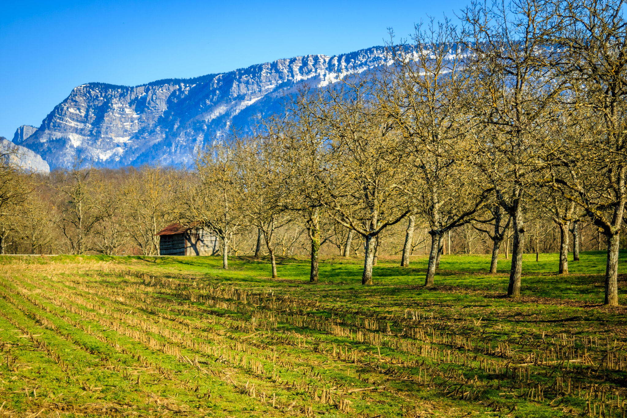 Canon EF 24-85mm F3.5-4.5 USM sample photo. Vinay (isère - france) photography