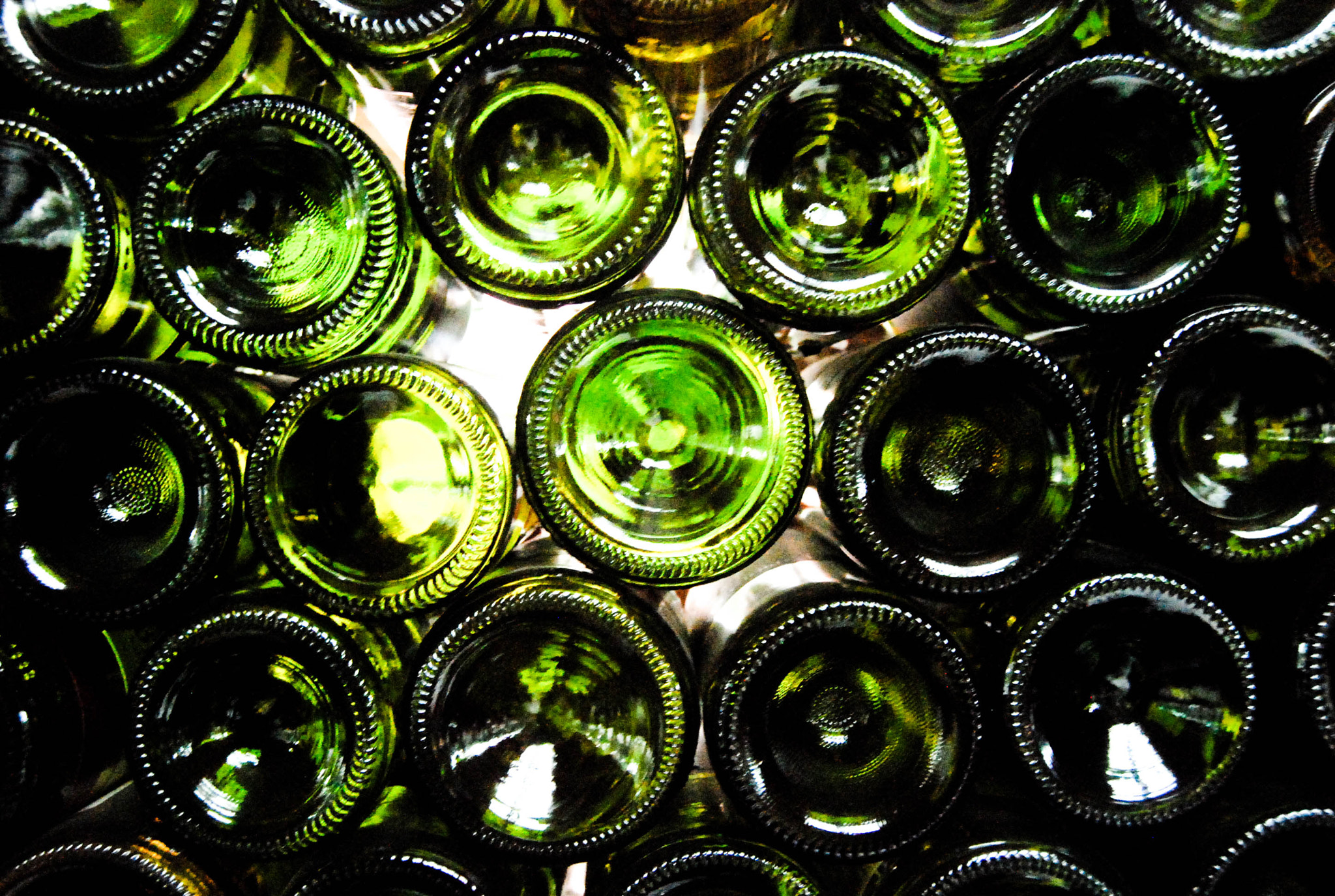 Nikon D80 sample photo. Dsc photography