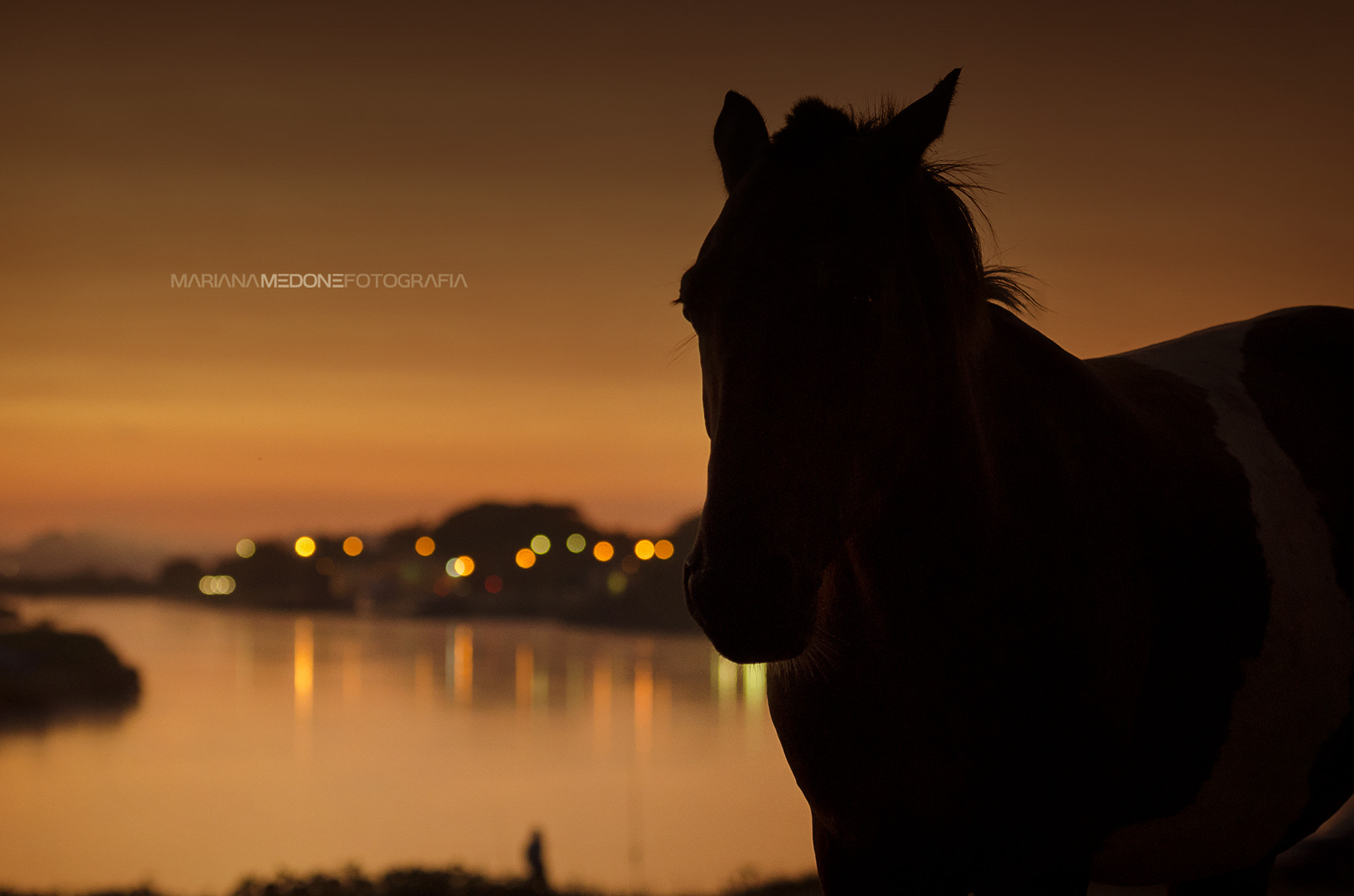 Nikon AF-S Nikkor 70-200mm F2.8G ED VR II sample photo. Amanecer photography
