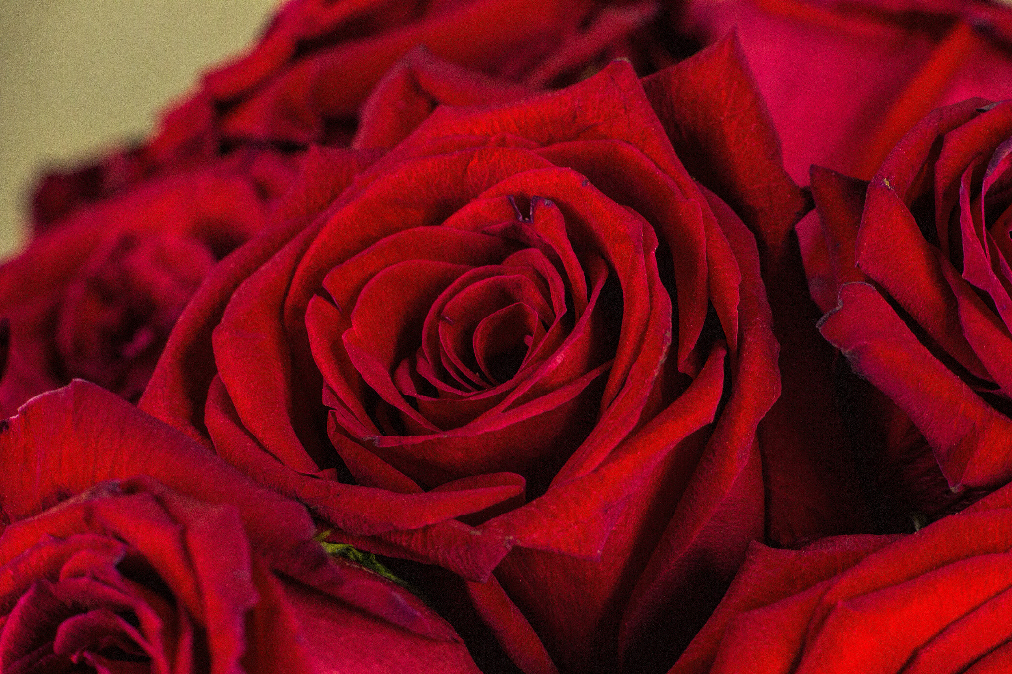 Canon EF 85mm F1.8 USM sample photo. Img photography