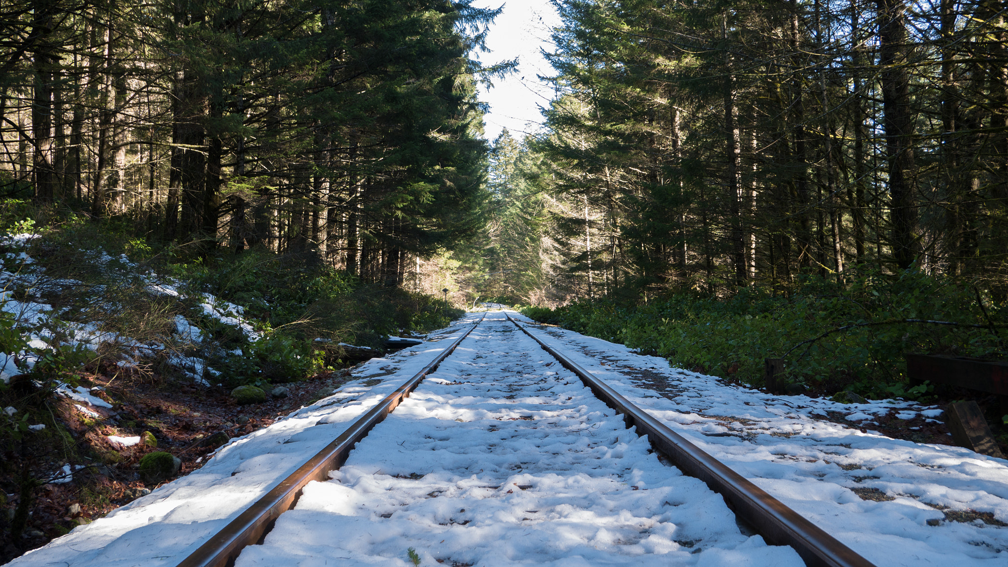Panasonic Lumix DMC-G85 (Lumix DMC-G80) sample photo. Spirit tracks photography