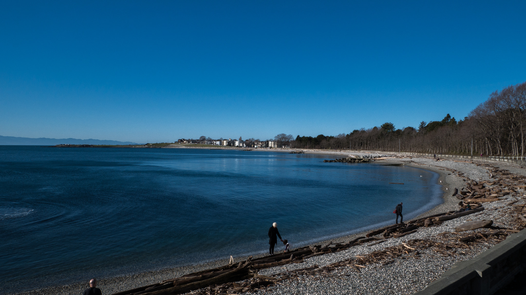Panasonic Lumix DMC-G85 (Lumix DMC-G80) sample photo. Victoria beach photography