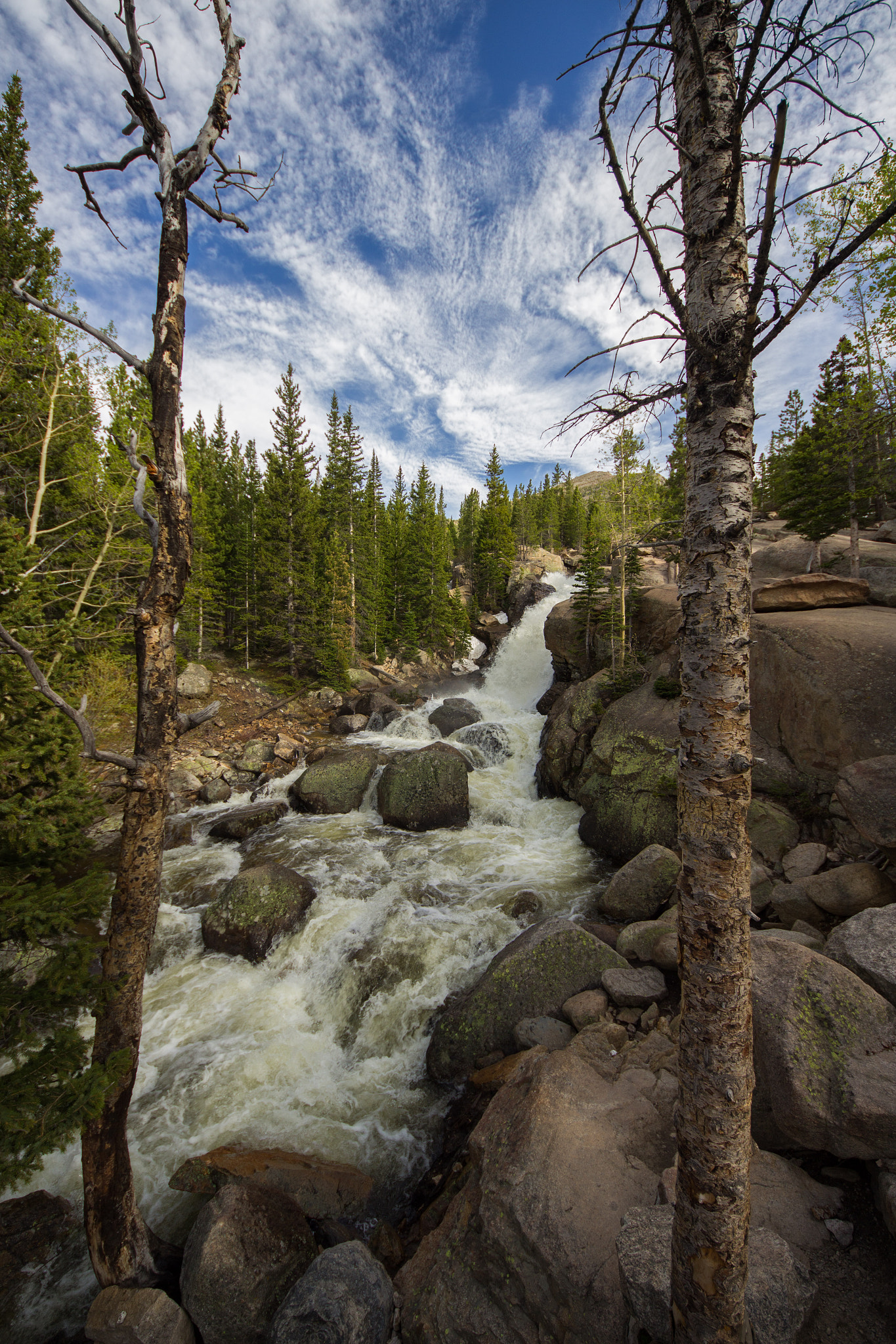 Canon EOS 600D (Rebel EOS T3i / EOS Kiss X5) + Sigma 8-16mm F4.5-5.6 DC HSM sample photo. Alberta falls photography