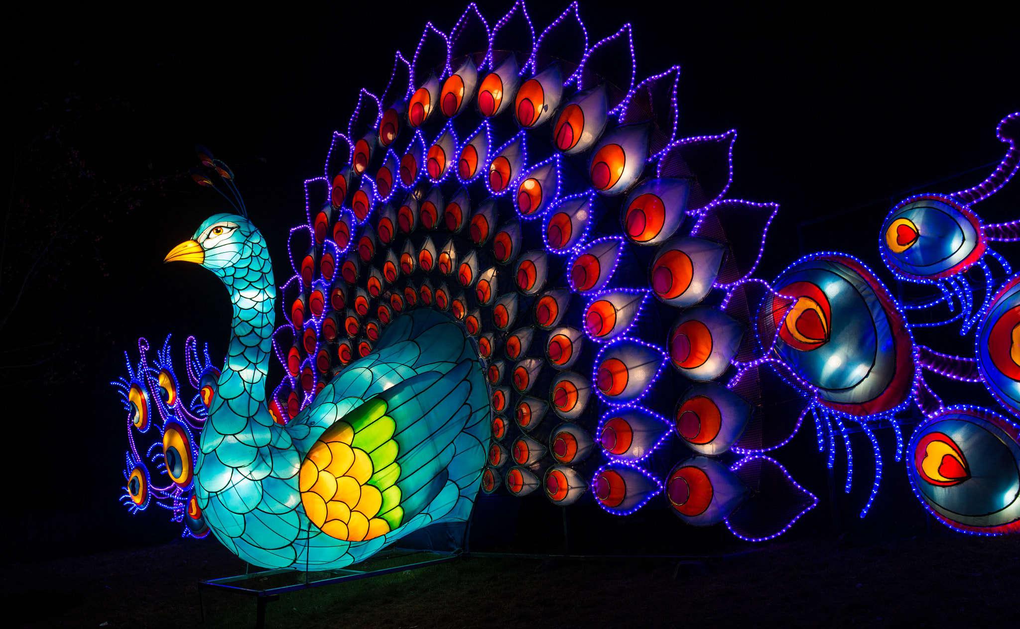 Canon EOS 70D + Canon EF 17-40mm F4L USM sample photo. Lantern photography