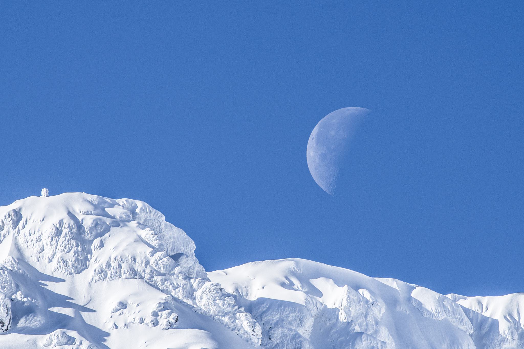Nikon AF-S Nikkor 200-500mm F5.6E ED VR sample photo. Cad photography