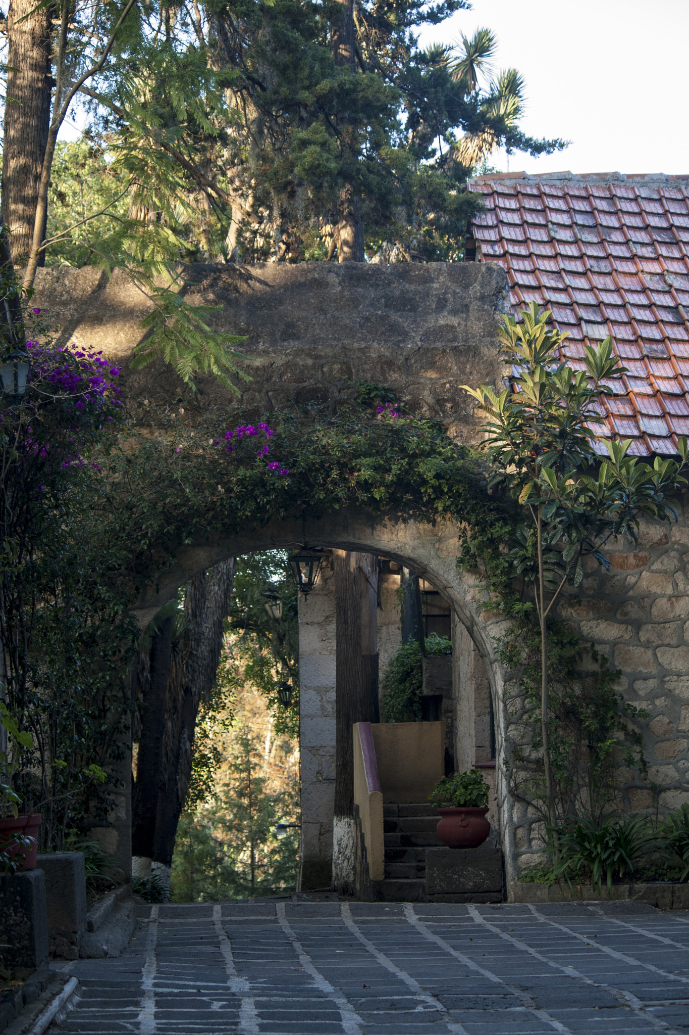 Canon EF-S 55-250mm F4-5.6 IS sample photo. Camino al amanecer photography