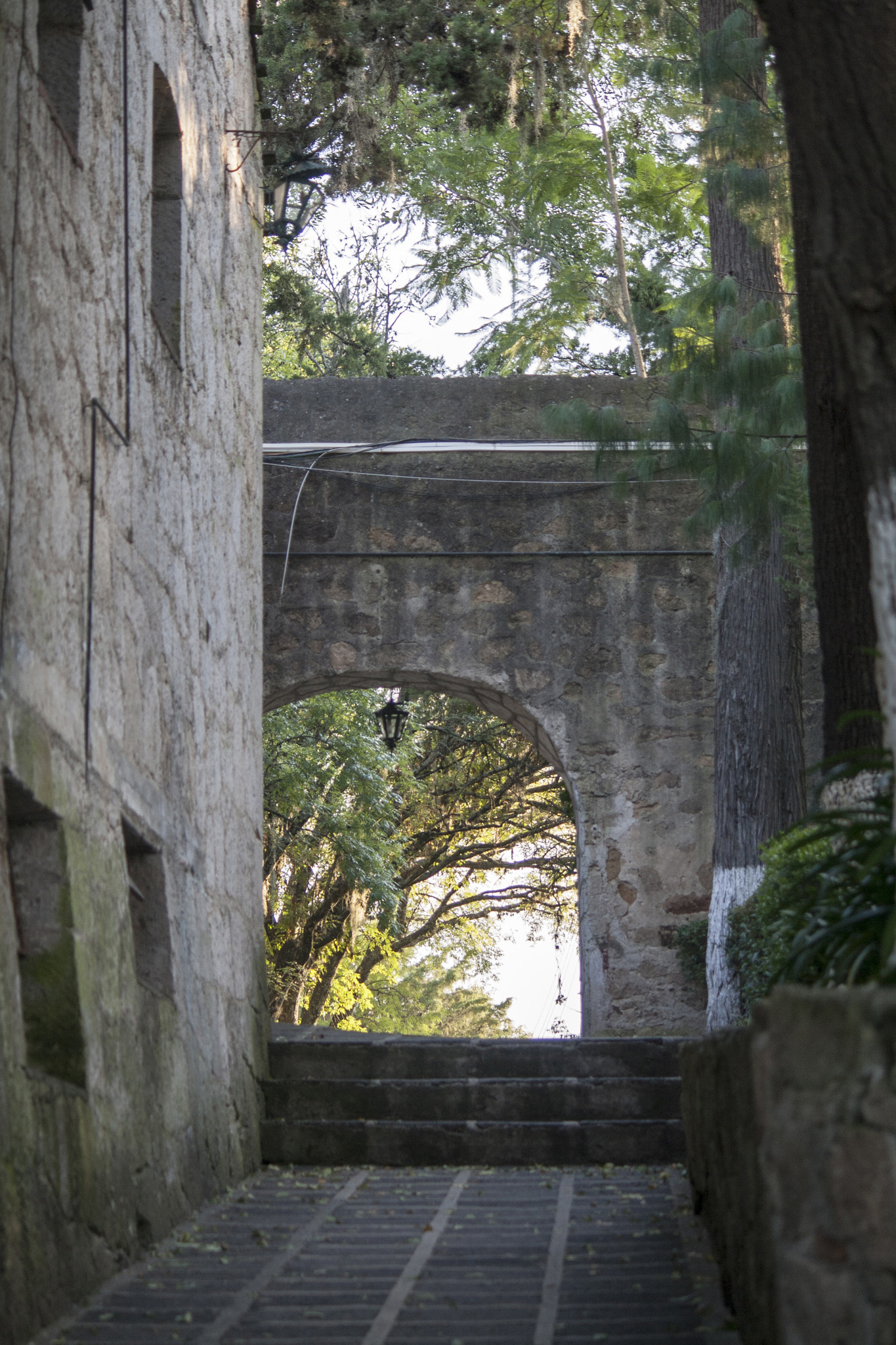 Canon EF-S 55-250mm F4-5.6 IS sample photo. Puerta photography