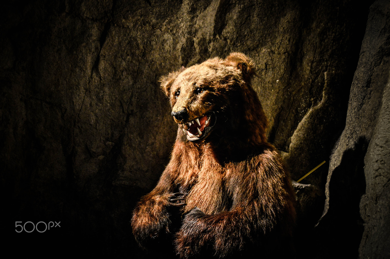Nikon D3200 sample photo. Rawr? photography