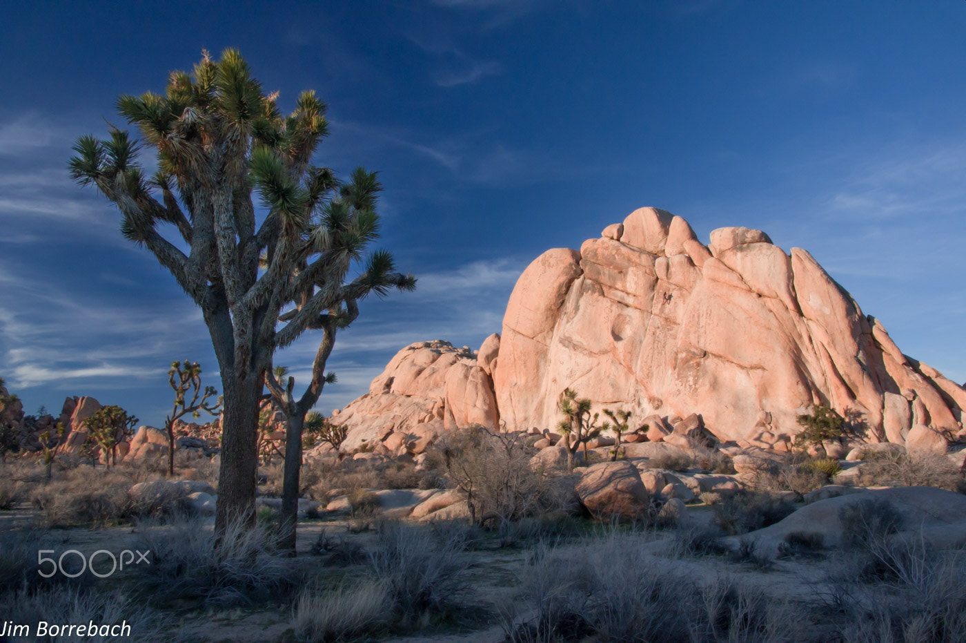 Sigma 17-50mm F2.8 EX DC HSM sample photo. Joshua tree np photography