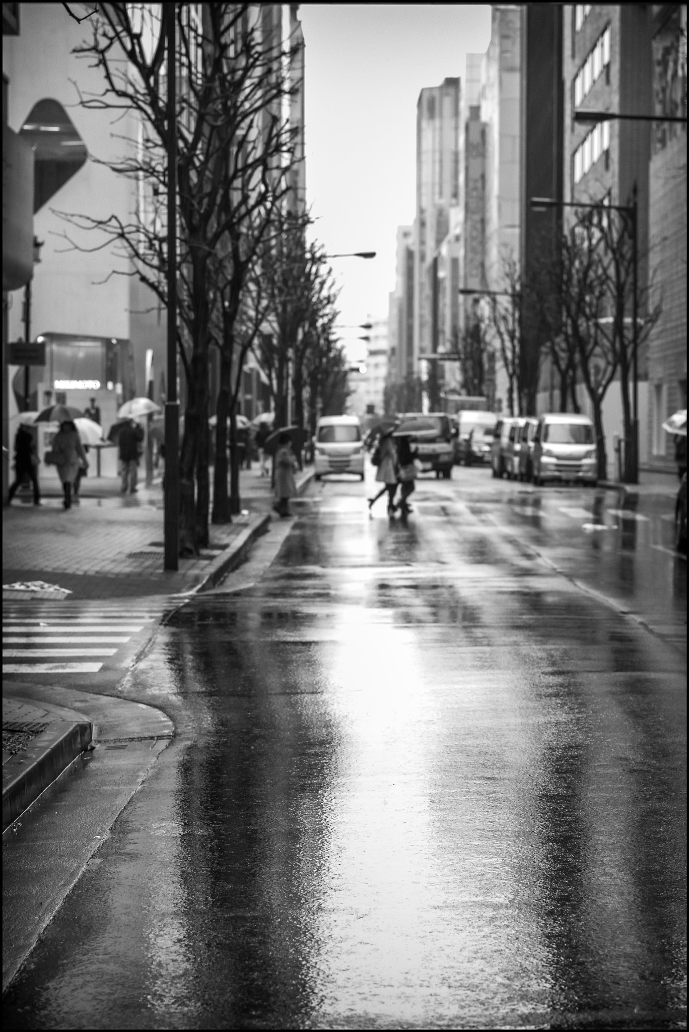 Leica APO-Summicron-M 90mm F2 ASPH sample photo. Mirage photography