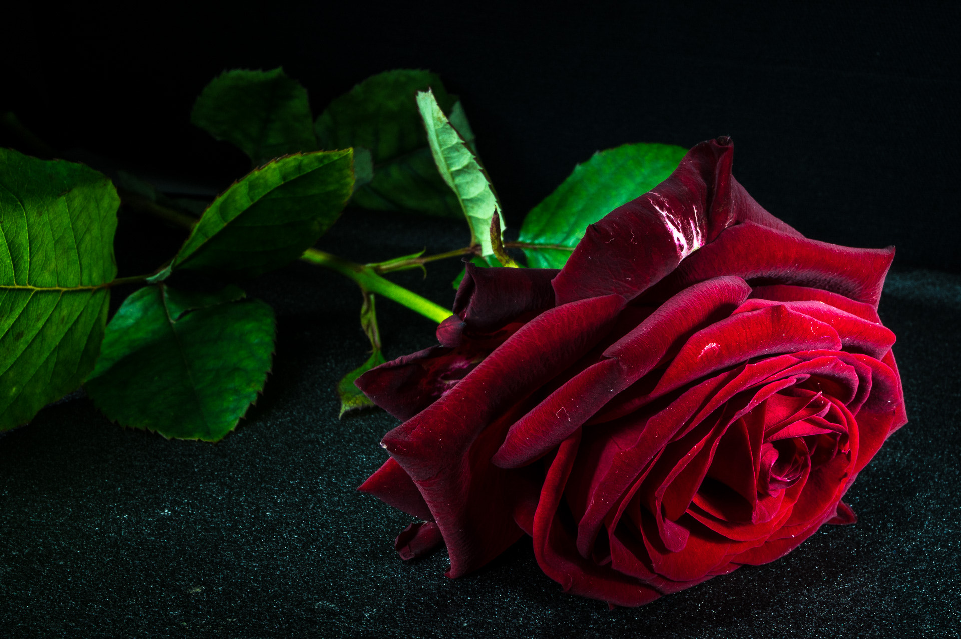 Pentax K-3 sample photo. Red rose photography
