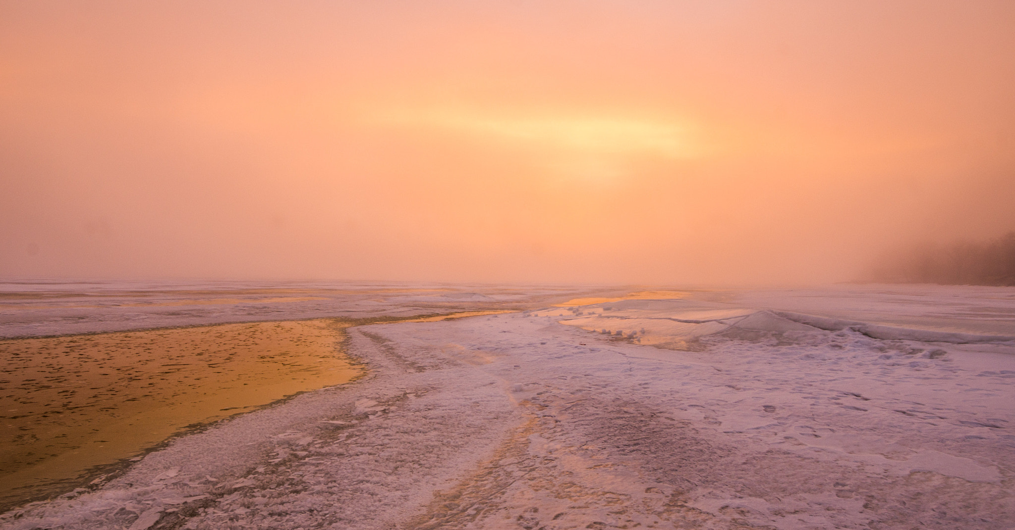 Nikon D7200 sample photo. Golden estonia photography