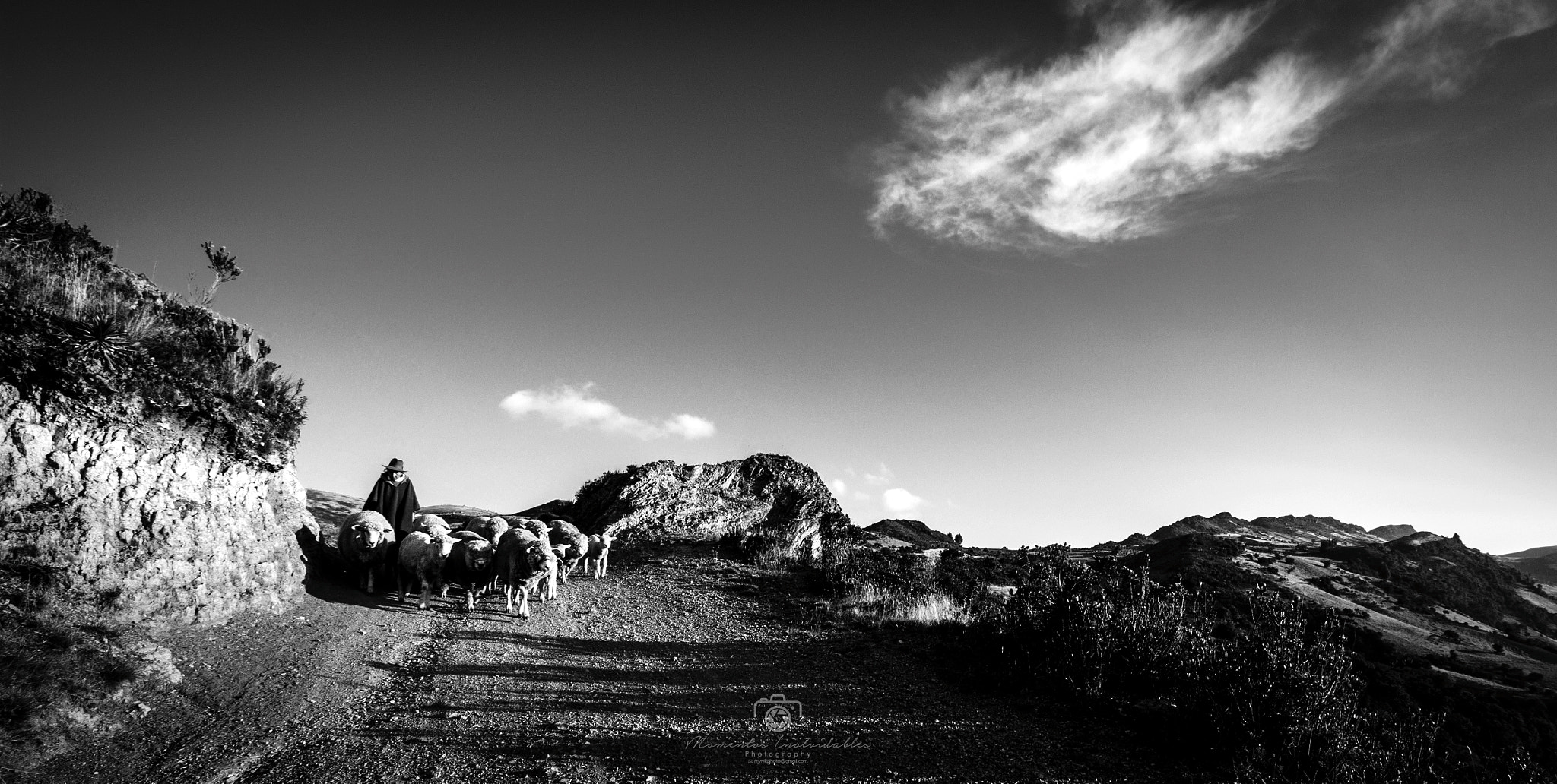 Canon EOS 500D (EOS Rebel T1i / EOS Kiss X3) sample photo. Paisaje campesino photography