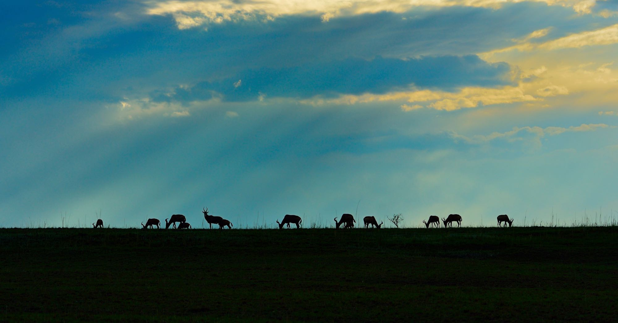 Nikon D4 sample photo. Scenery of south africa photography