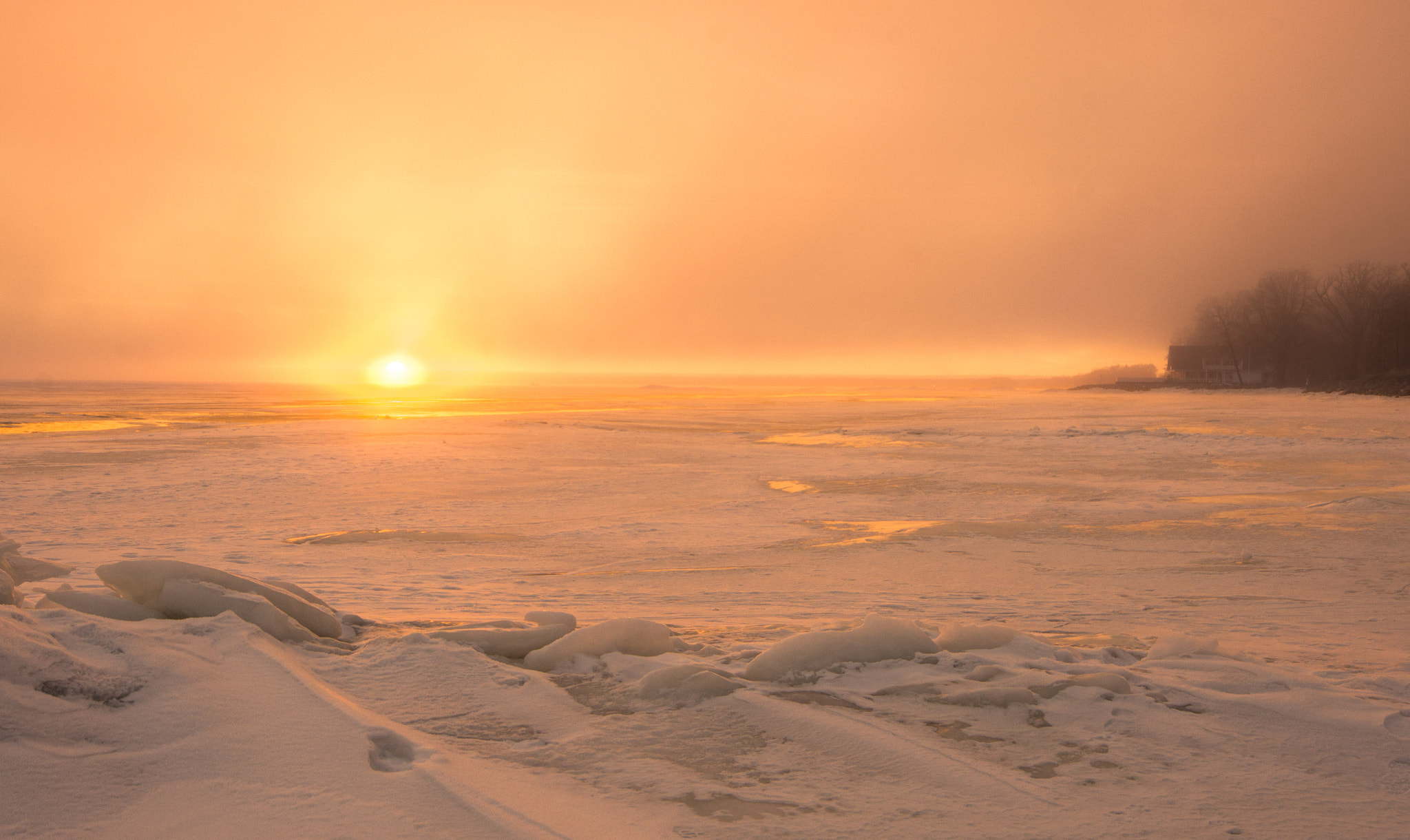 Nikon D7200 sample photo. Foggy winter sunset photography