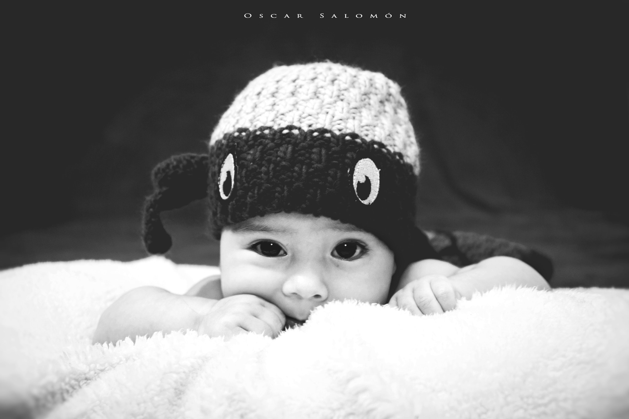 Canon EF 24-70mm F2.8L II USM sample photo. Mini ninja turtle photography
