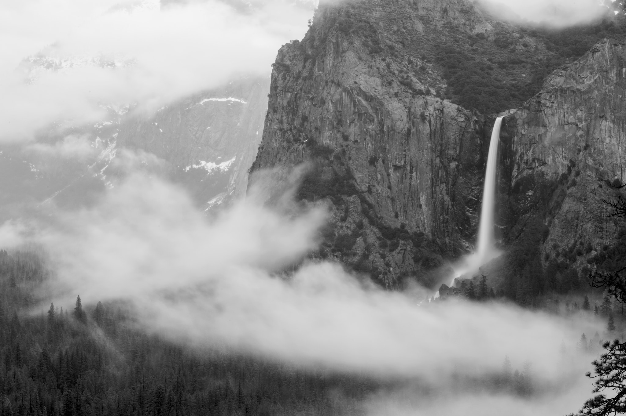 Nikon D4 sample photo. Foggy yosemite. photography