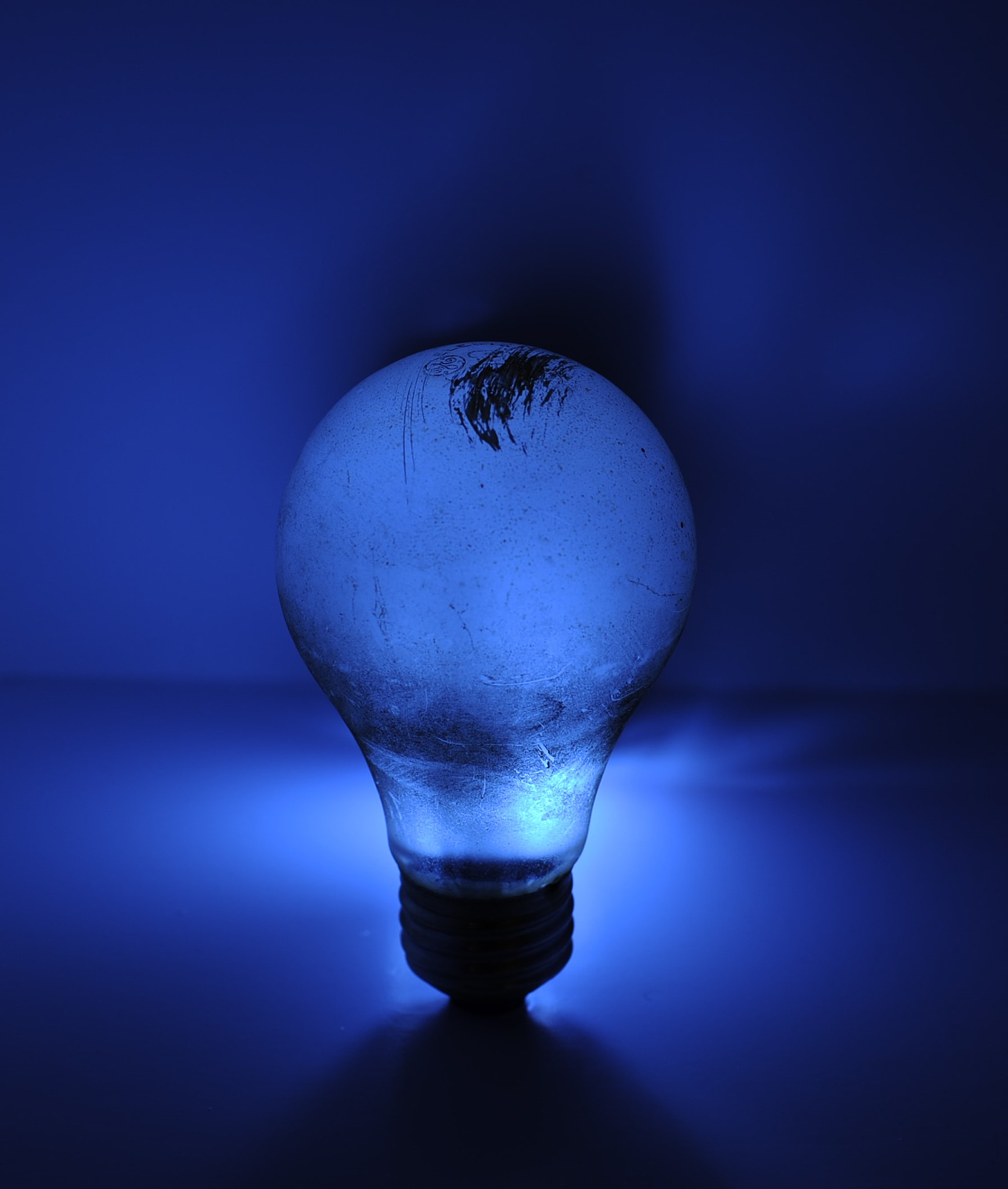 Nikon D3 sample photo. Bulb o' blue photography