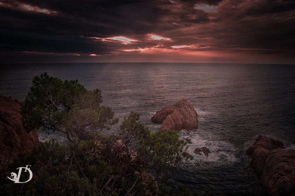 Nikon D90 + Sigma 18-200mm F3.5-6.3 II DC OS HSM sample photo. Rayos de sol sobre la costa photography