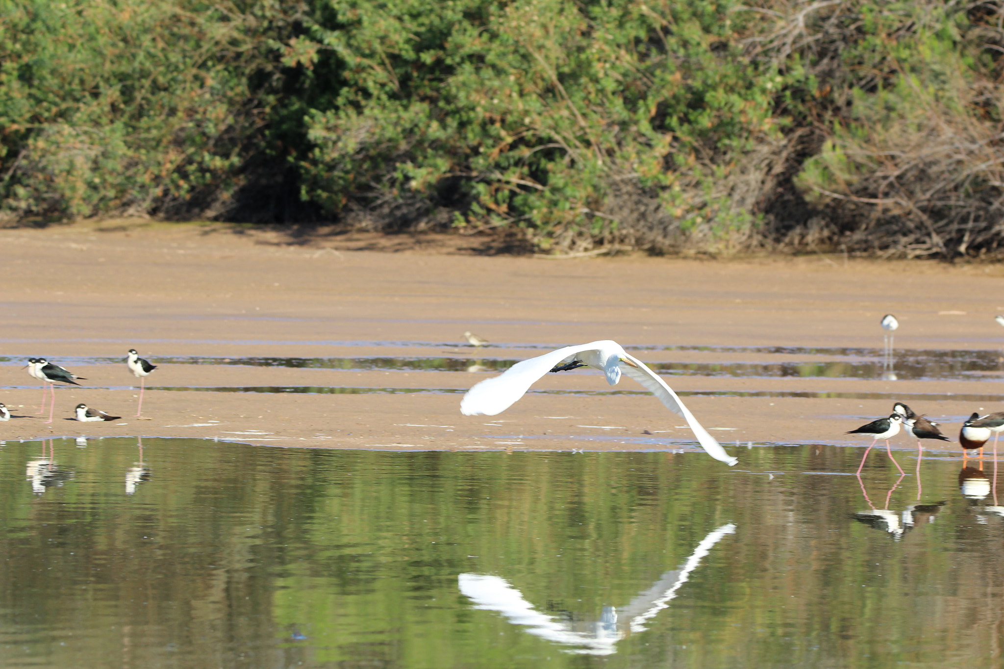 Sigma 150-600mm F5-6.3 DG OS HSM | C sample photo. Inflight photography