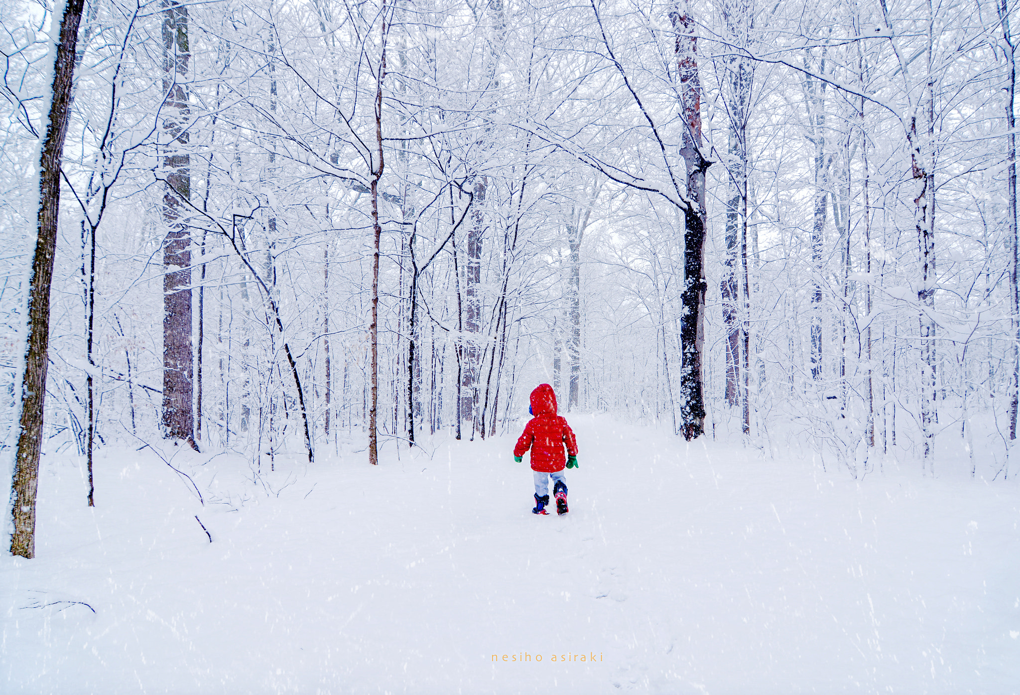 Tokina AT-X Pro 11-16mm F2.8 DX sample photo. Winter boy photography