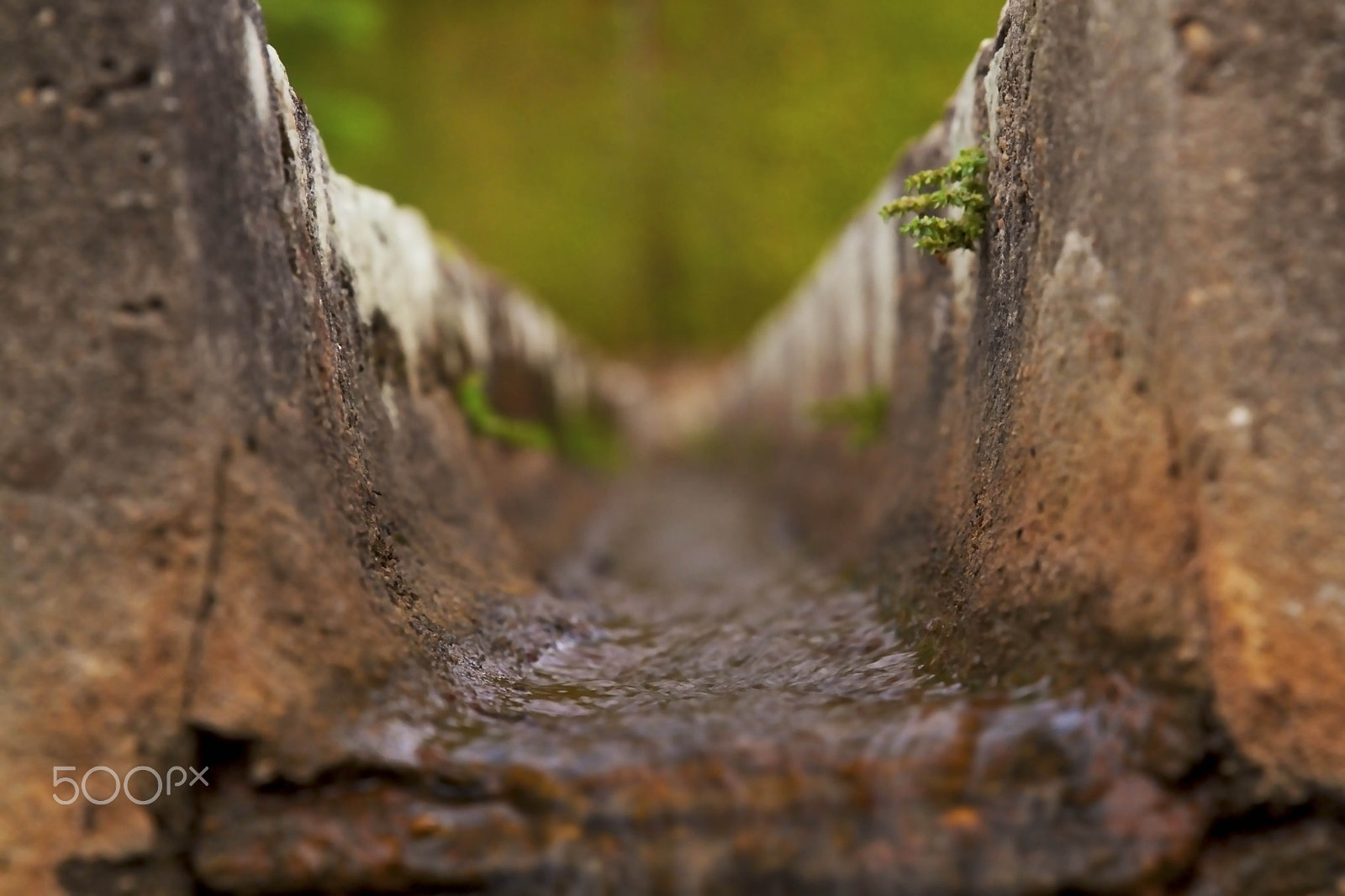 Canon EF 24-70mm F2.8L II USM sample photo. Water photography