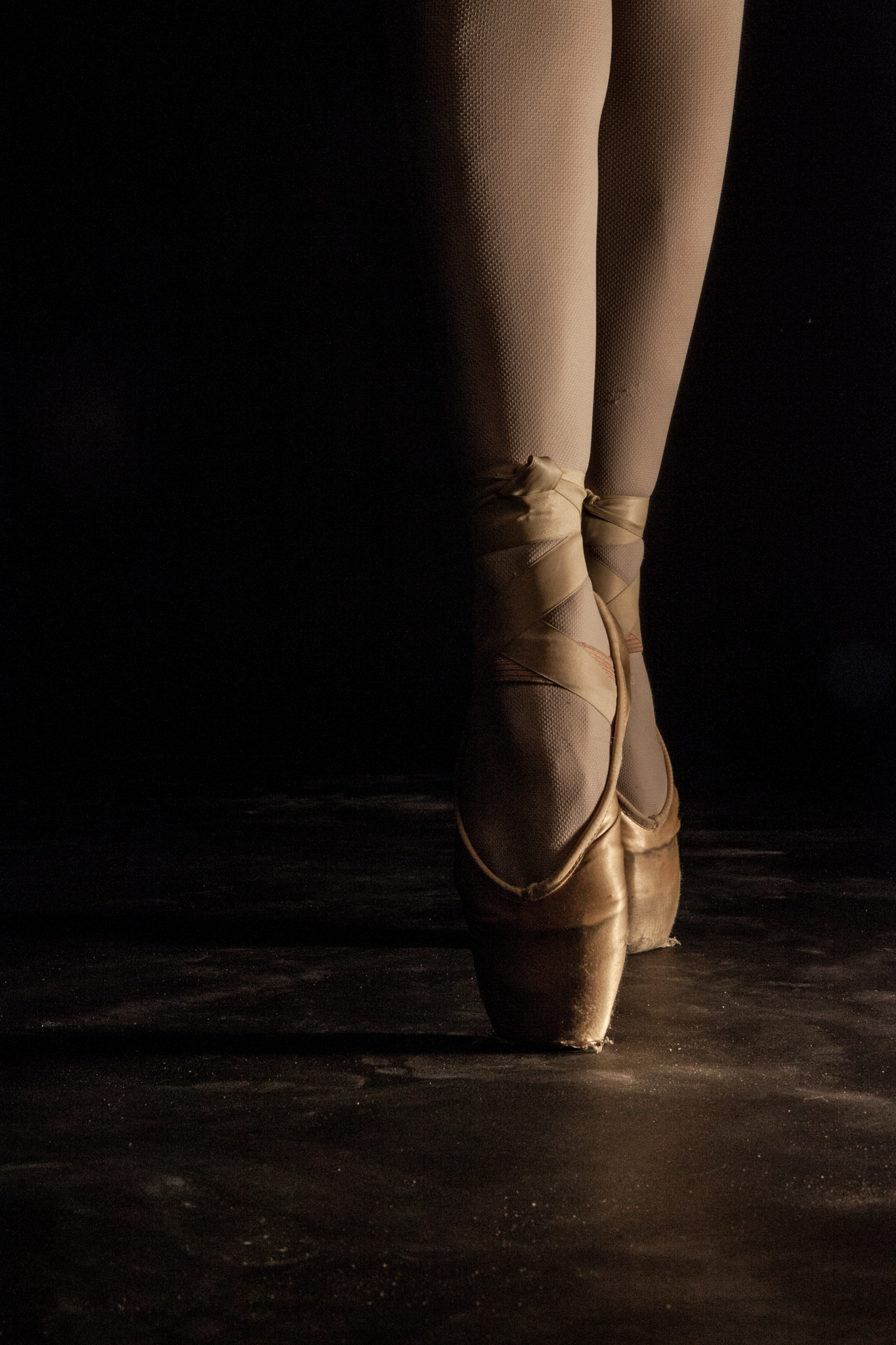Canon EOS 5D Mark II + Canon EF 28-135mm F3.5-5.6 IS USM sample photo. On pointe photography