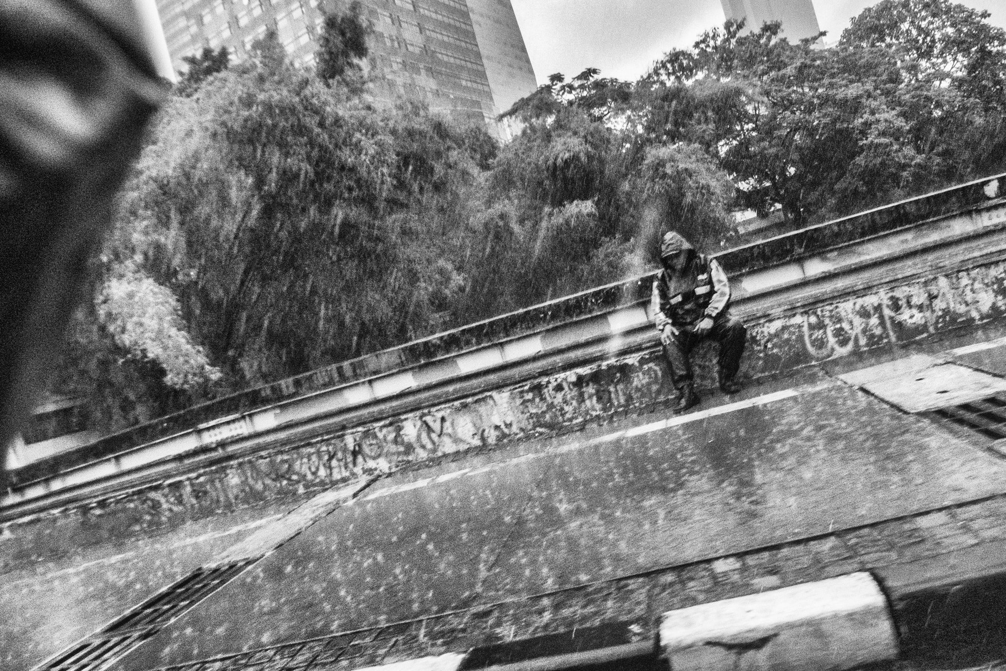 Olympus Stylus XZ-10 sample photo. Drenched photography