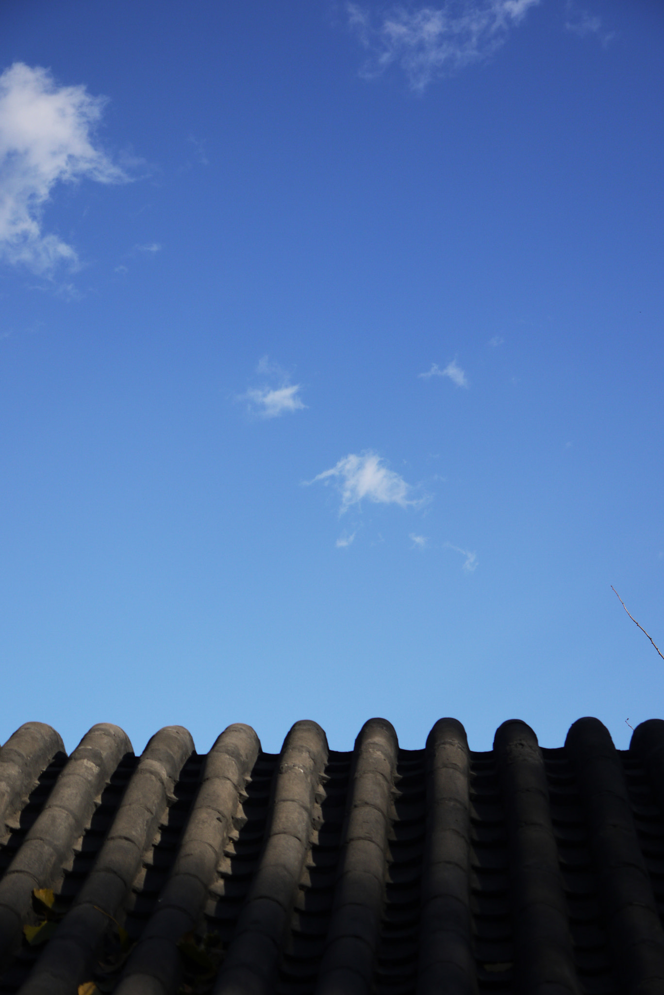 Panasonic Lumix DMC-GF1 sample photo. Blue roof tile photography