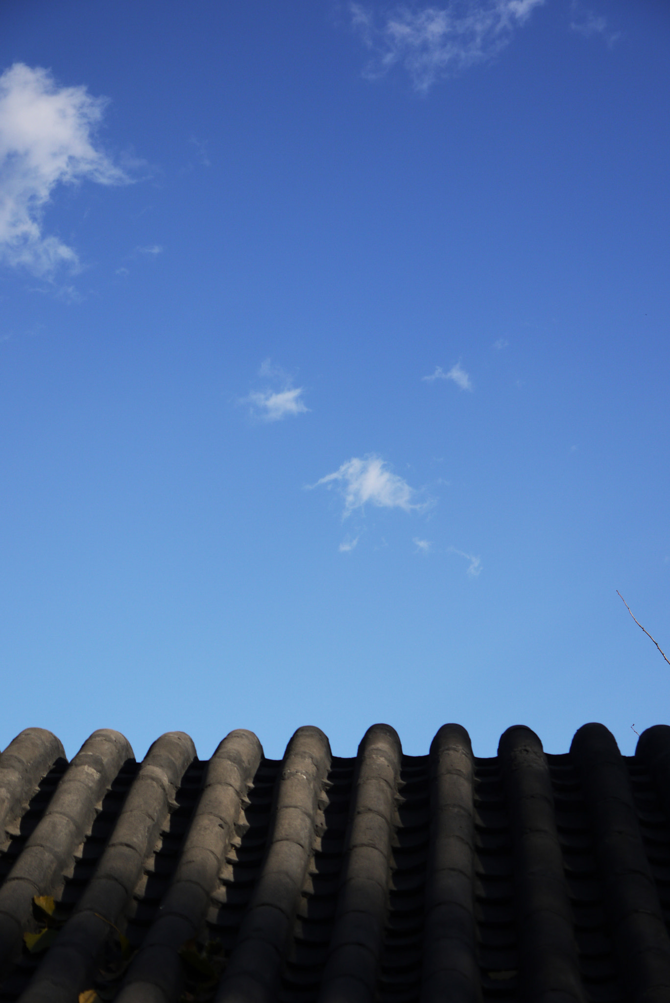 Panasonic Lumix DMC-GF1 + Panasonic Lumix G Vario 14-42mm F3.5-5.6 ASPH OIS sample photo. Blue roof tile photography