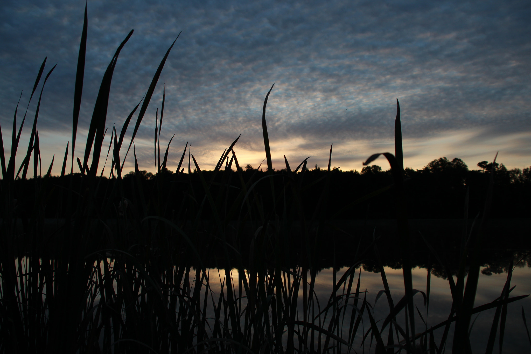 Canon EF 75-300mm F4.0-5.6 IS USM sample photo. September sunset photography