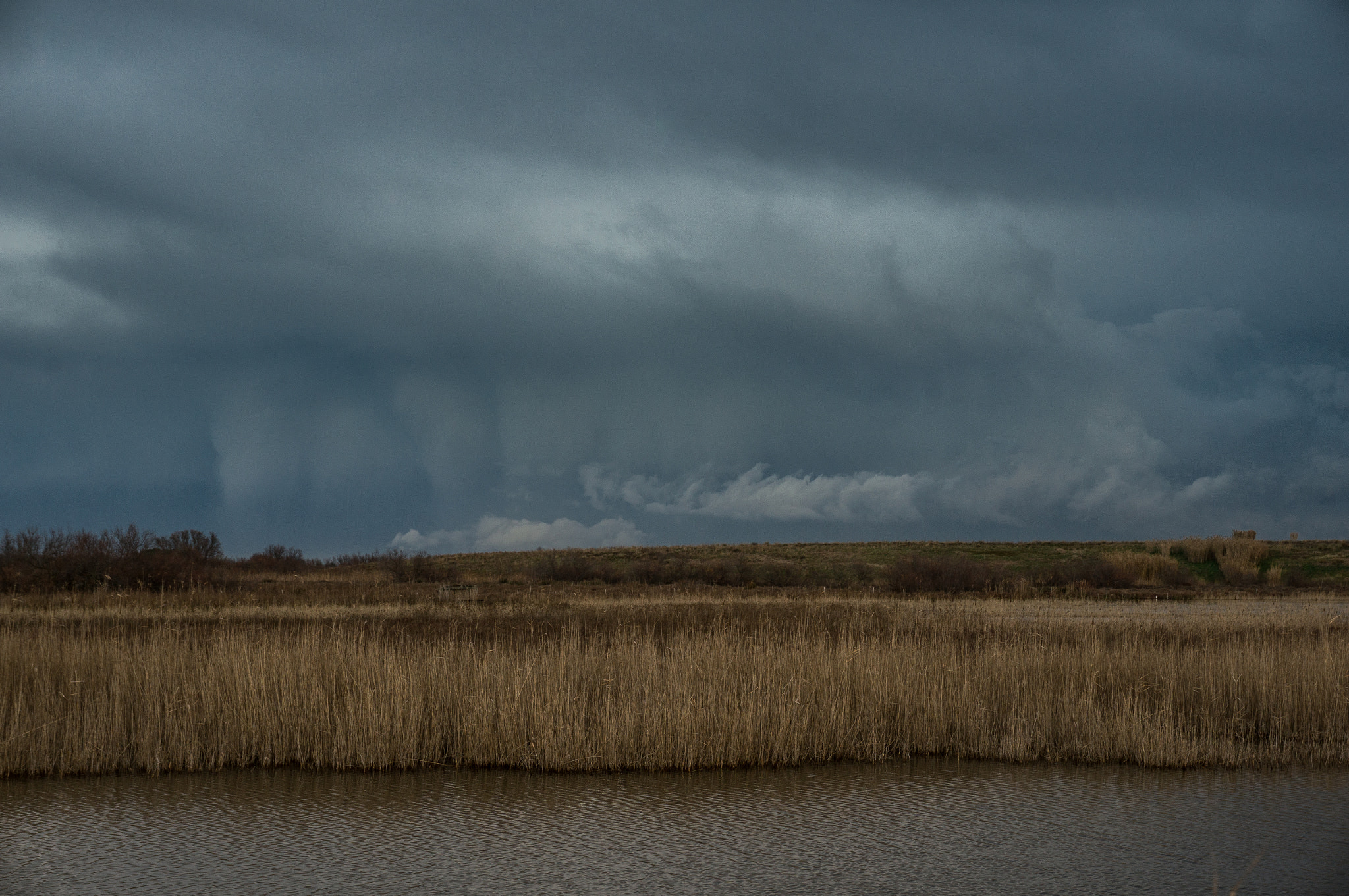 Sony Alpha NEX-5R sample photo. Landscape of camargue photography