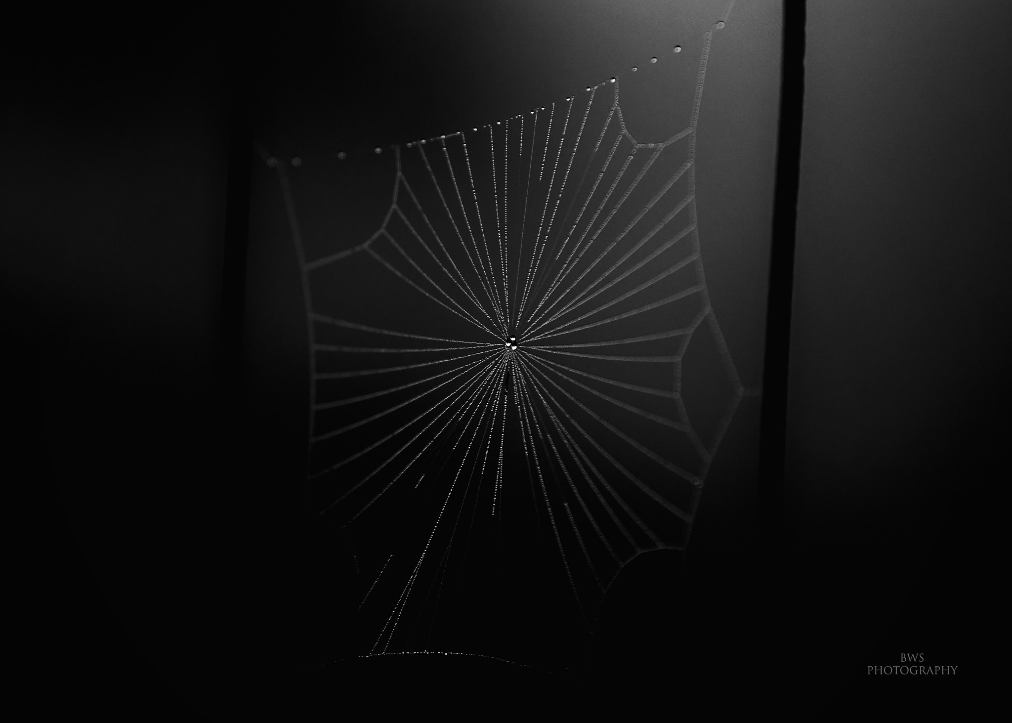 Canon EF 70-200mm F2.8L IS II USM sample photo. Shadowy web.... photography