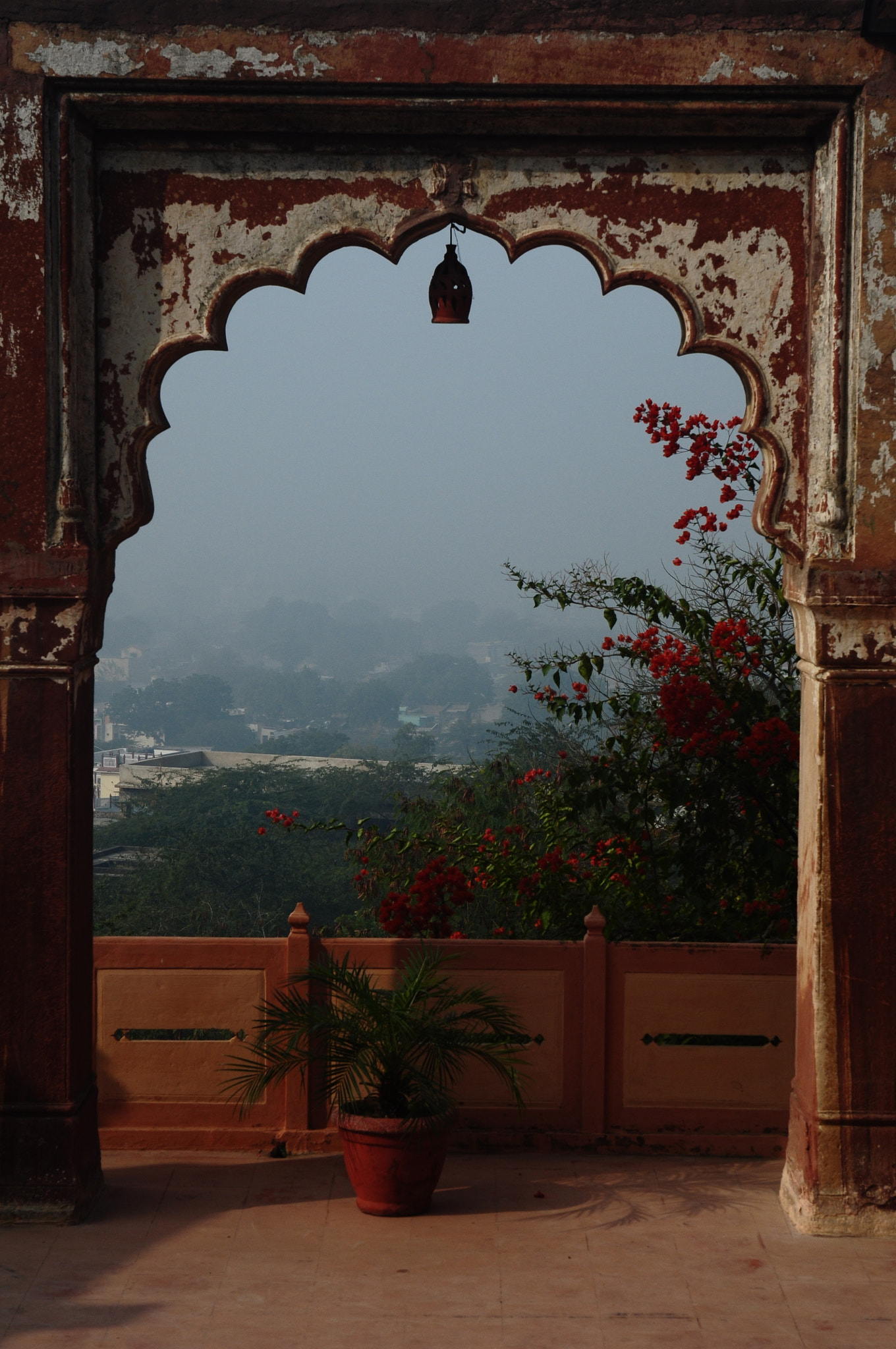 Nikon D5000 sample photo. Untitled photography