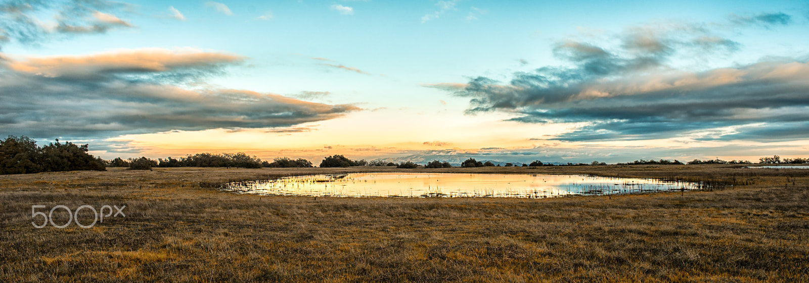 Sony a99 II + Minolta AF 24mm F2.8 sample photo. Santa rosa vernal pool sunset photography