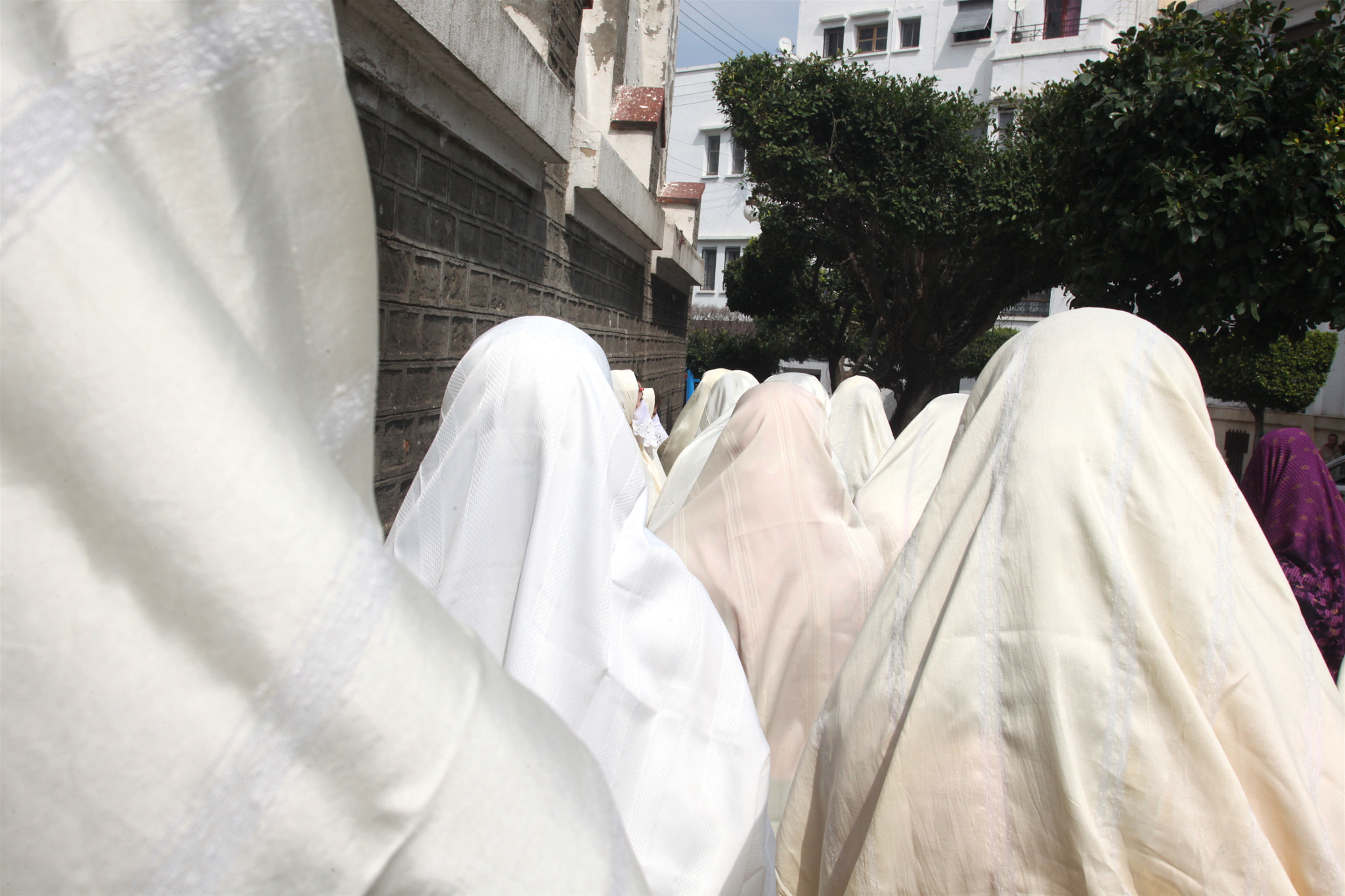 Canon EF 17-35mm f/2.8L sample photo. Haik a alger photography