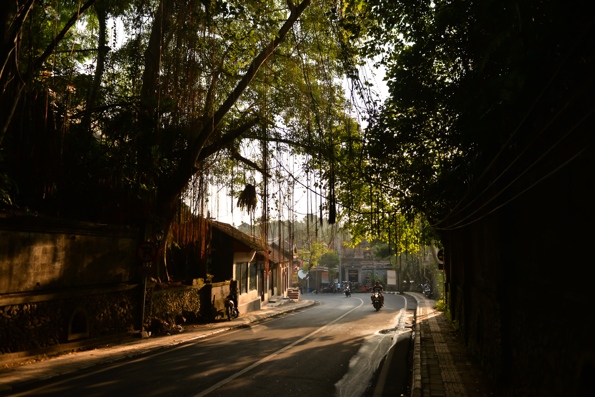 Nikon AF-S Nikkor 28-70mm F2.8 ED-IF sample photo. Bali island, indonesia photography