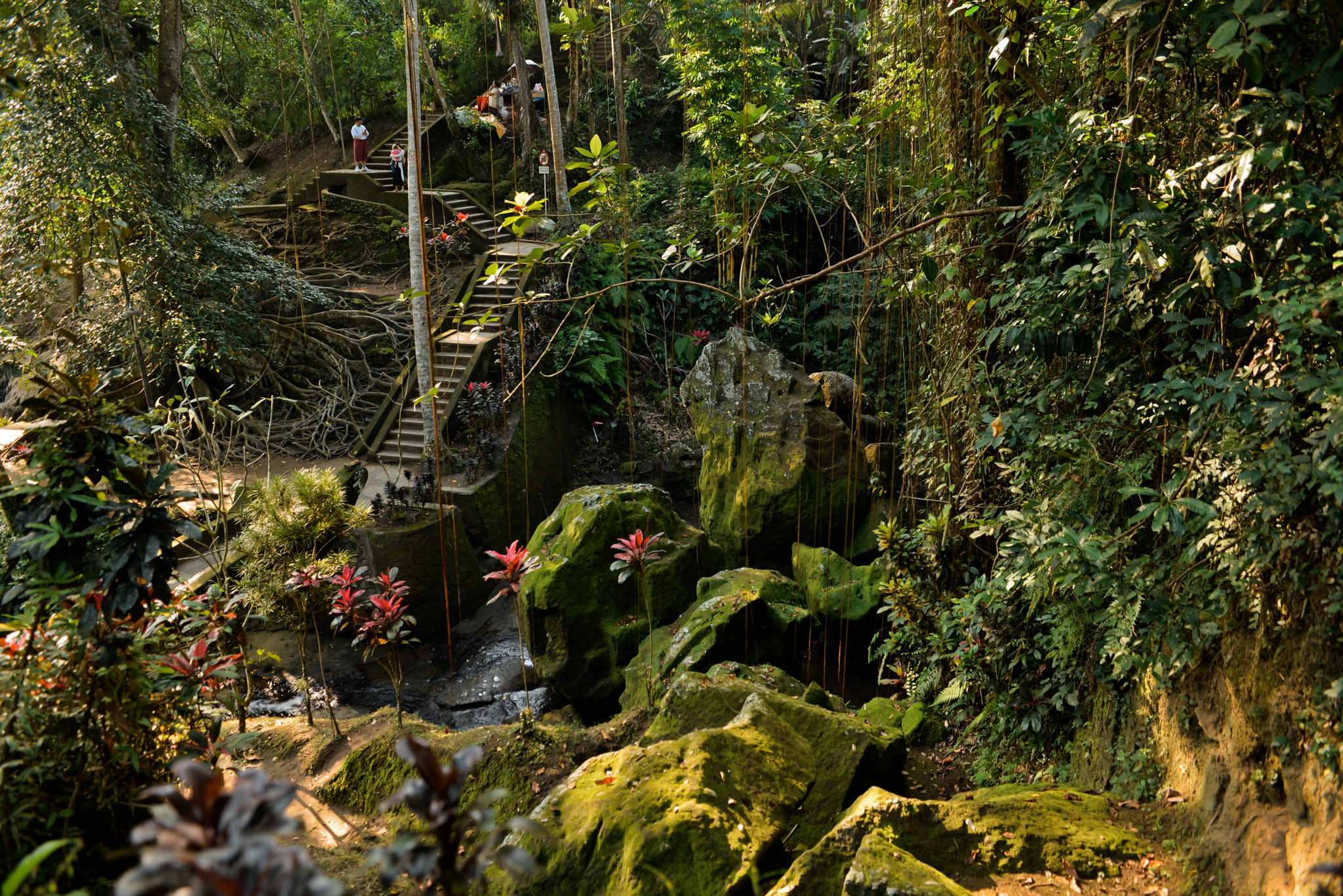 Nikon AF-S Nikkor 28-70mm F2.8 ED-IF sample photo. Bali island, indonesia photography